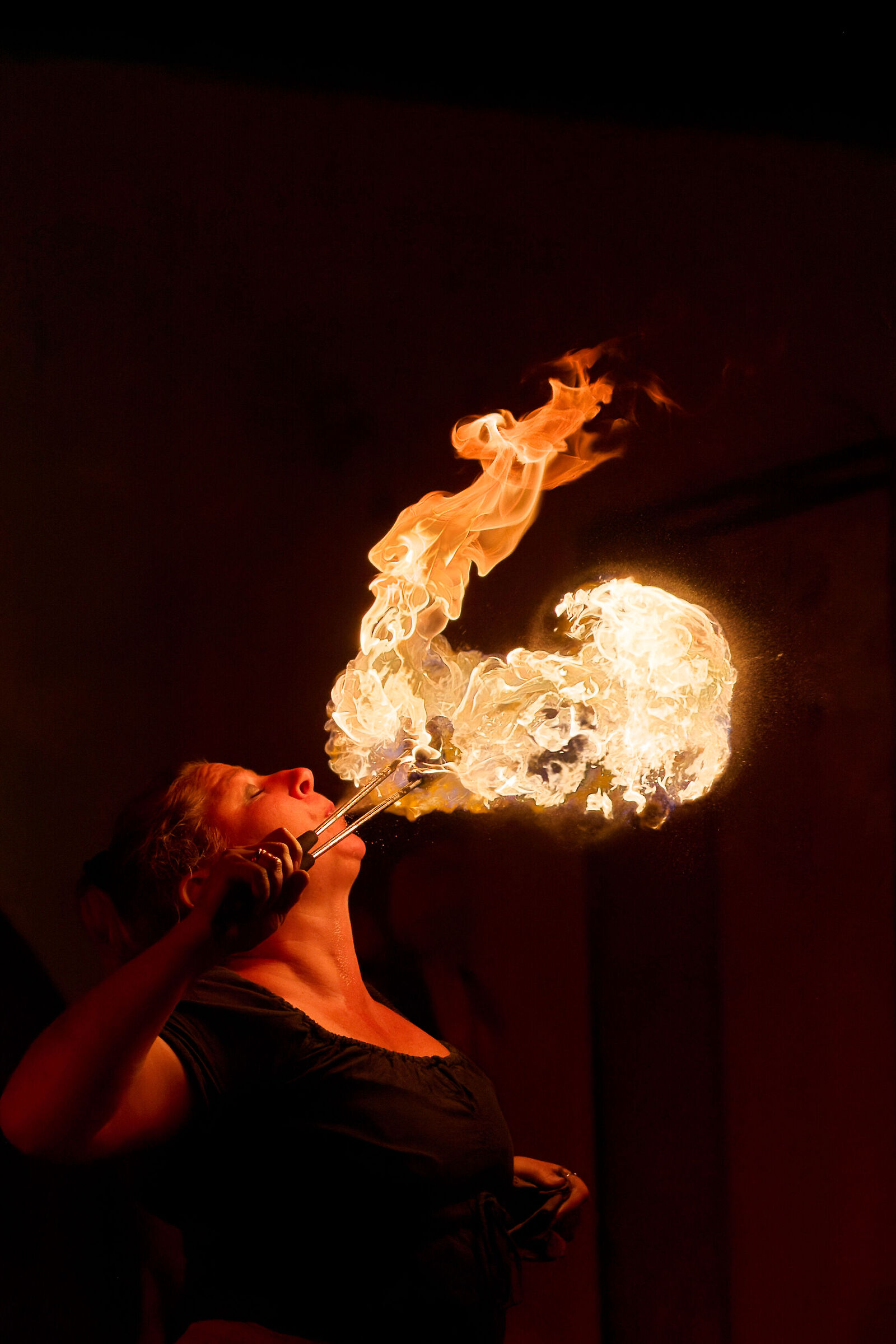 La medusa di fuoco