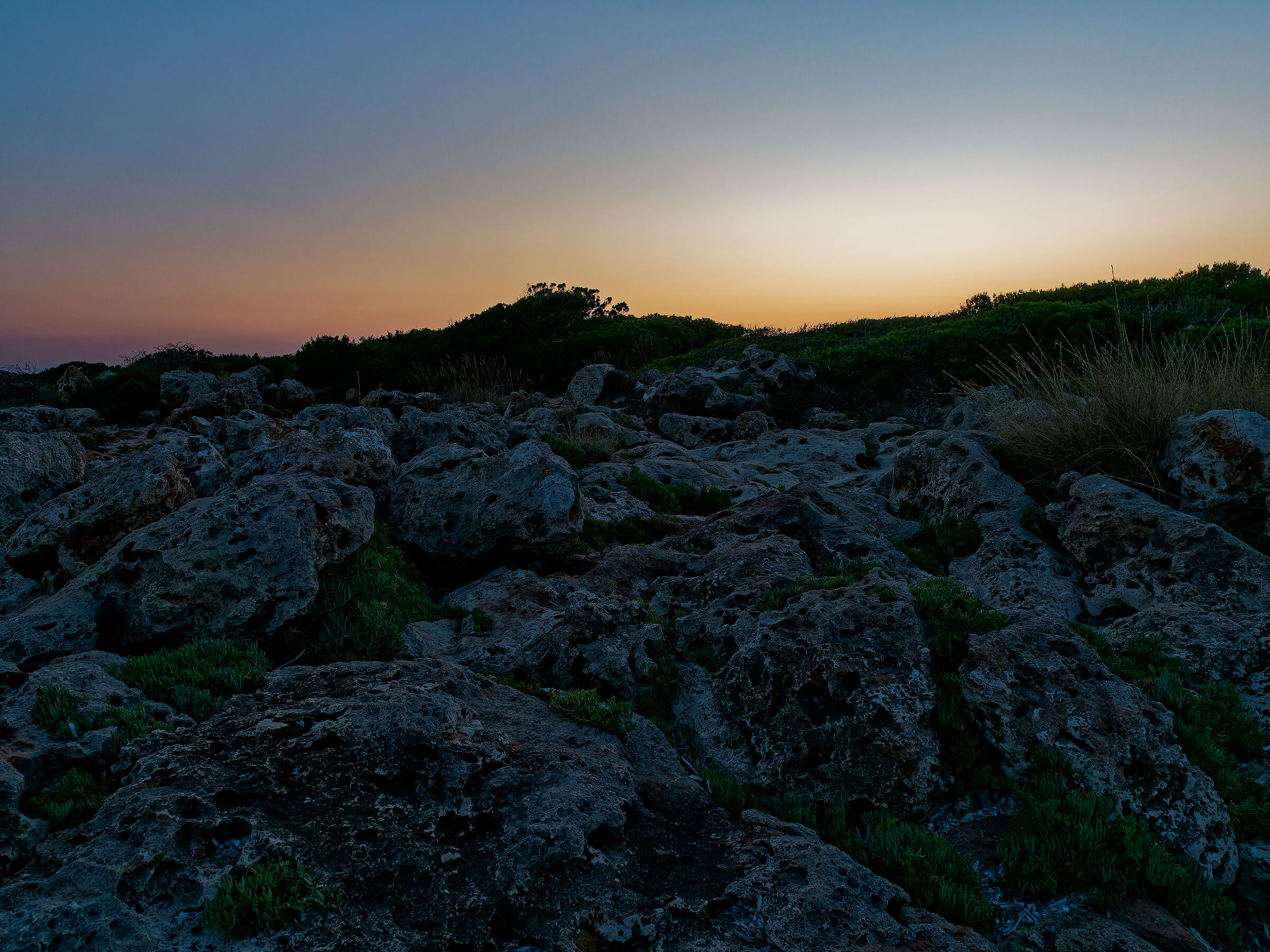 Minorca