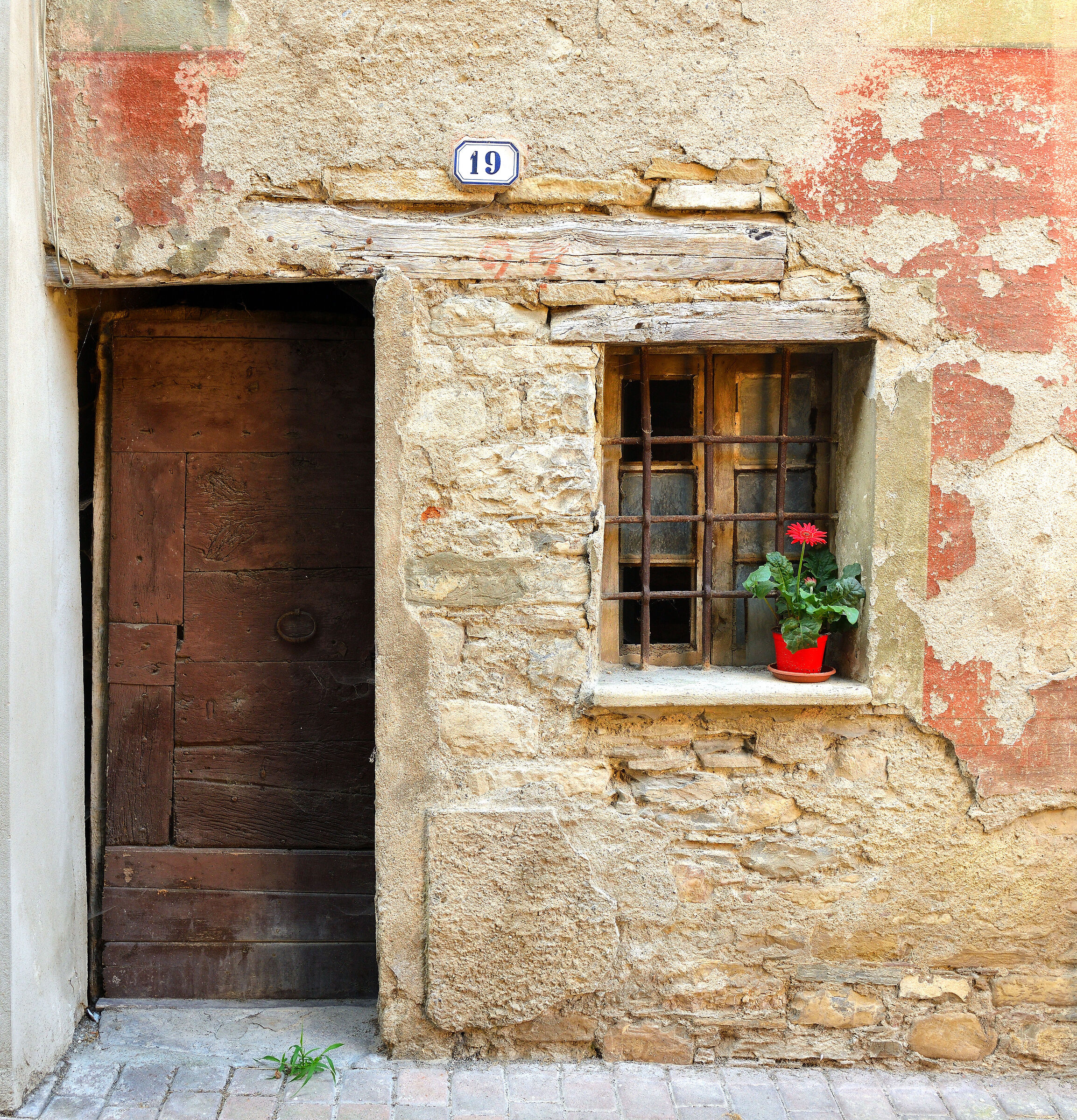 Al19 c'è un fiore