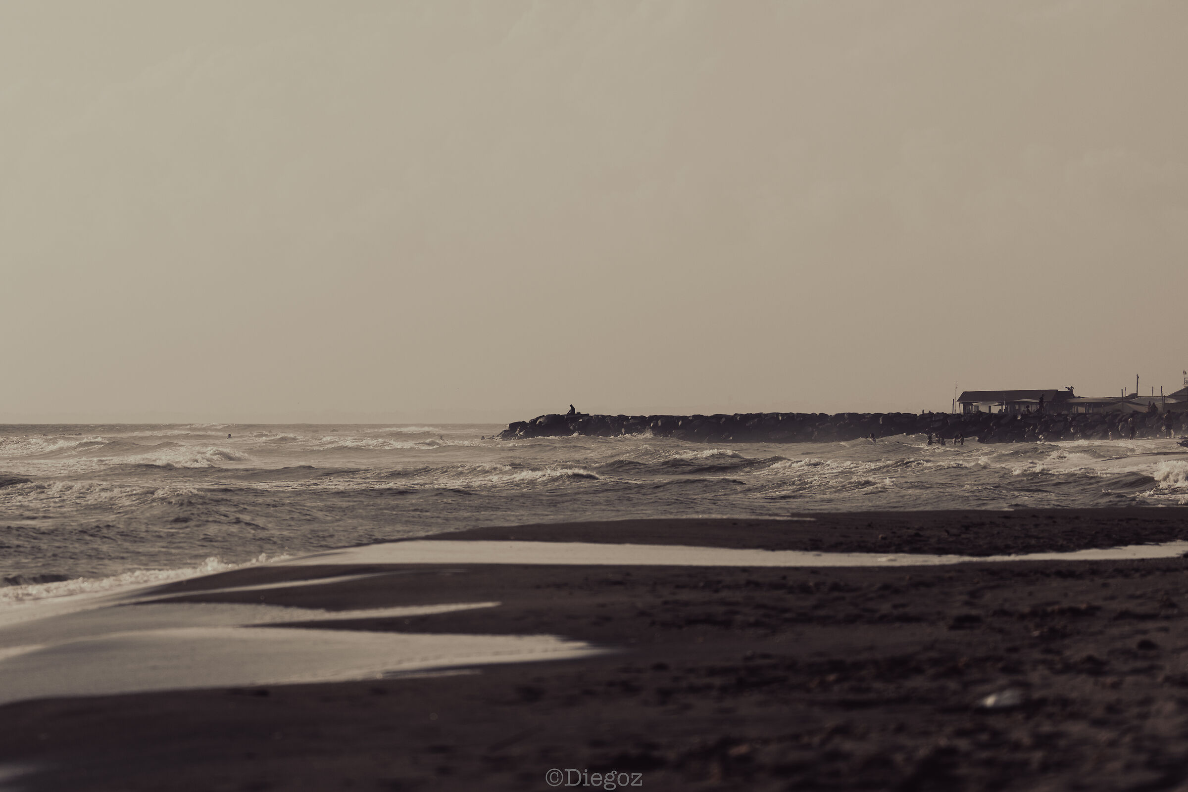 Untitled Photo