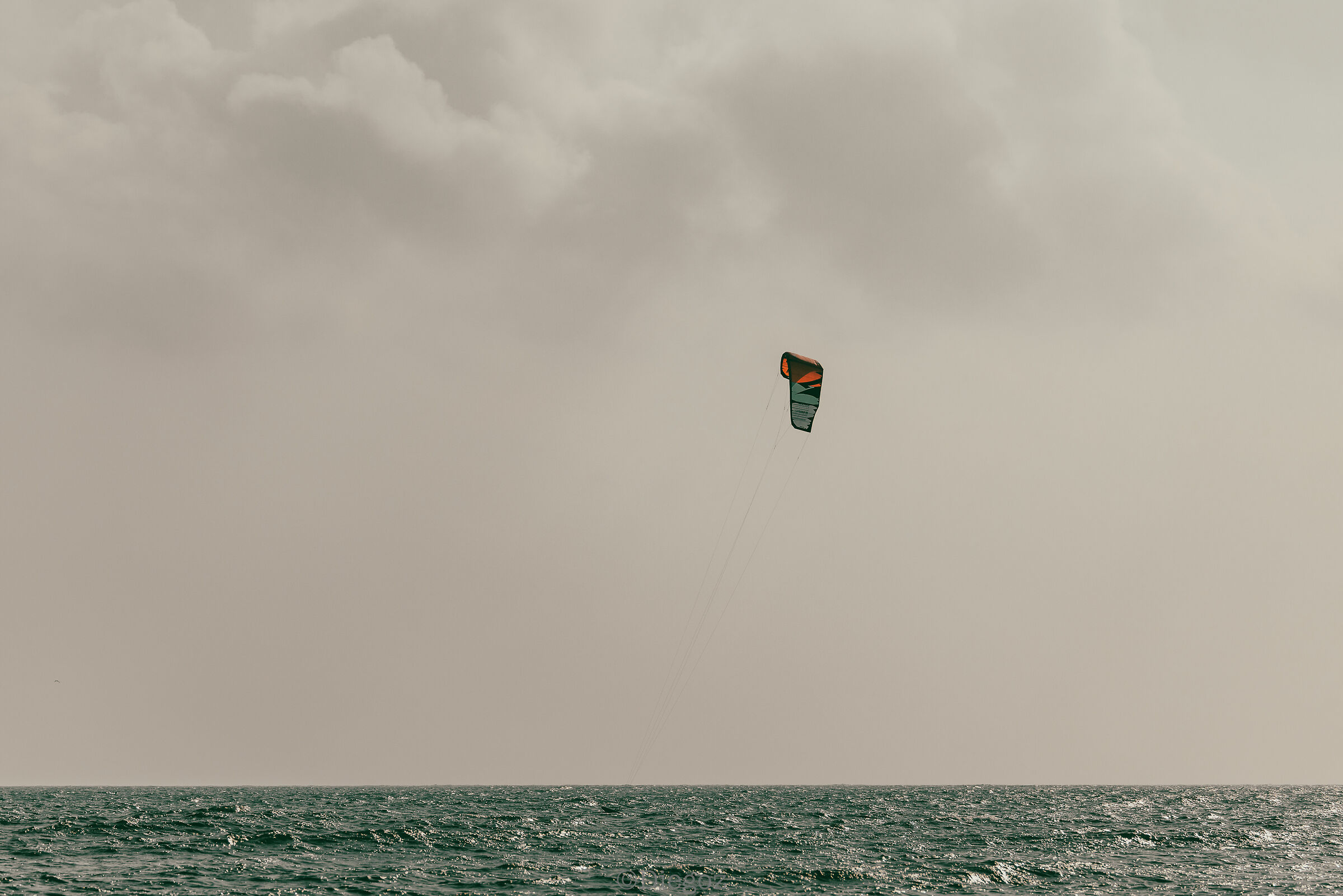 Untitled Photo
