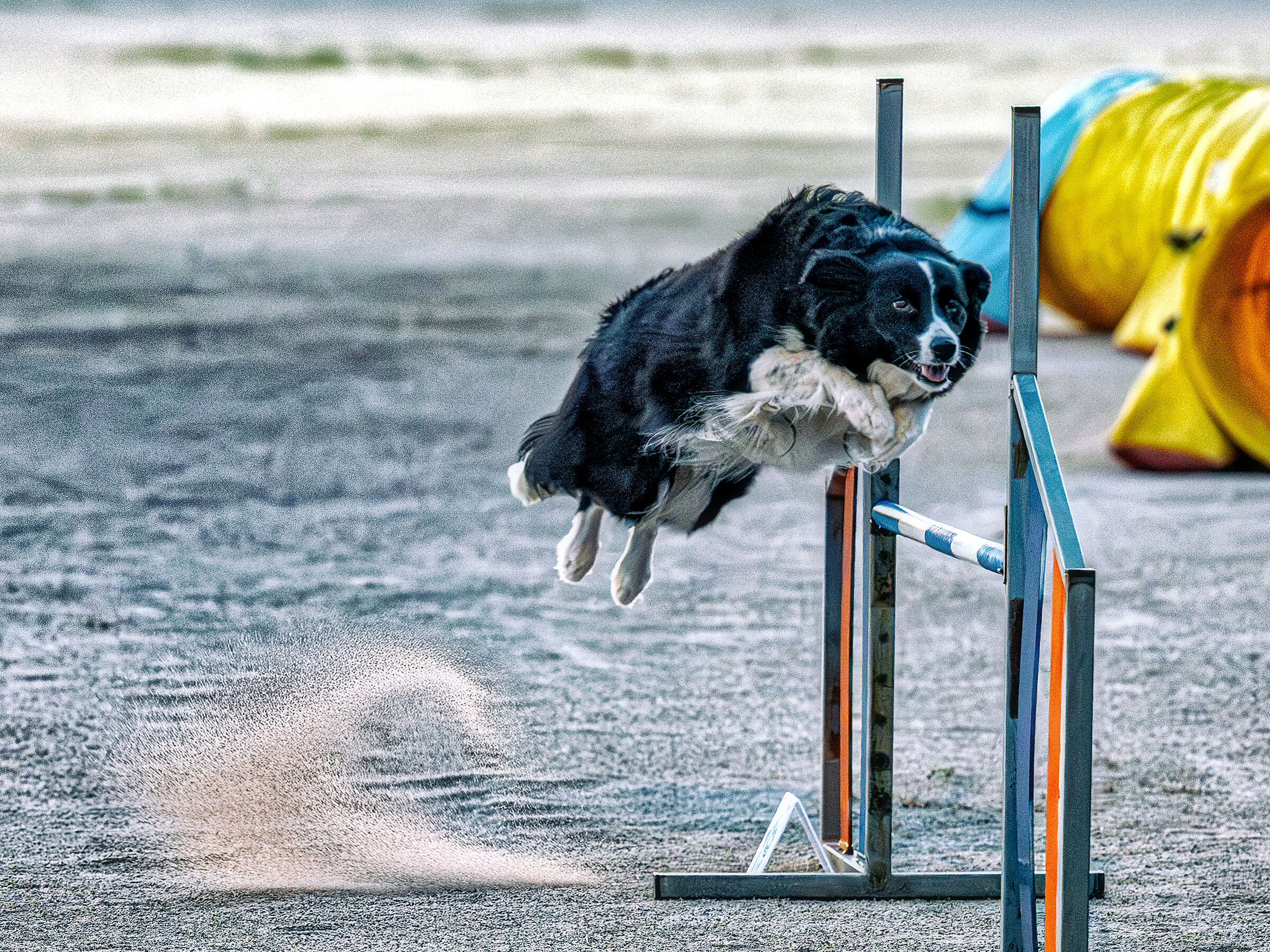 Asia Agility