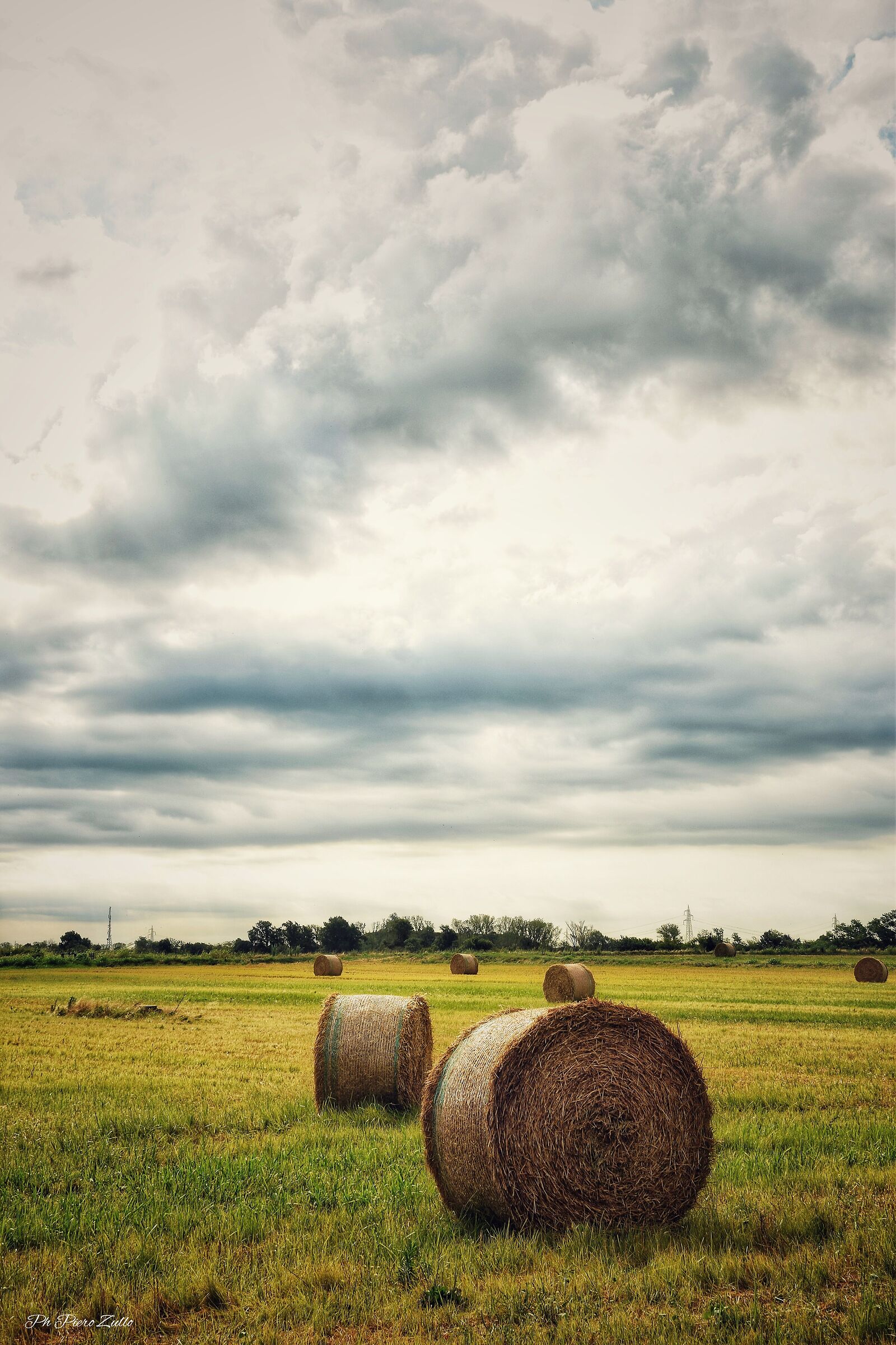 It's just lies, lots of lies...