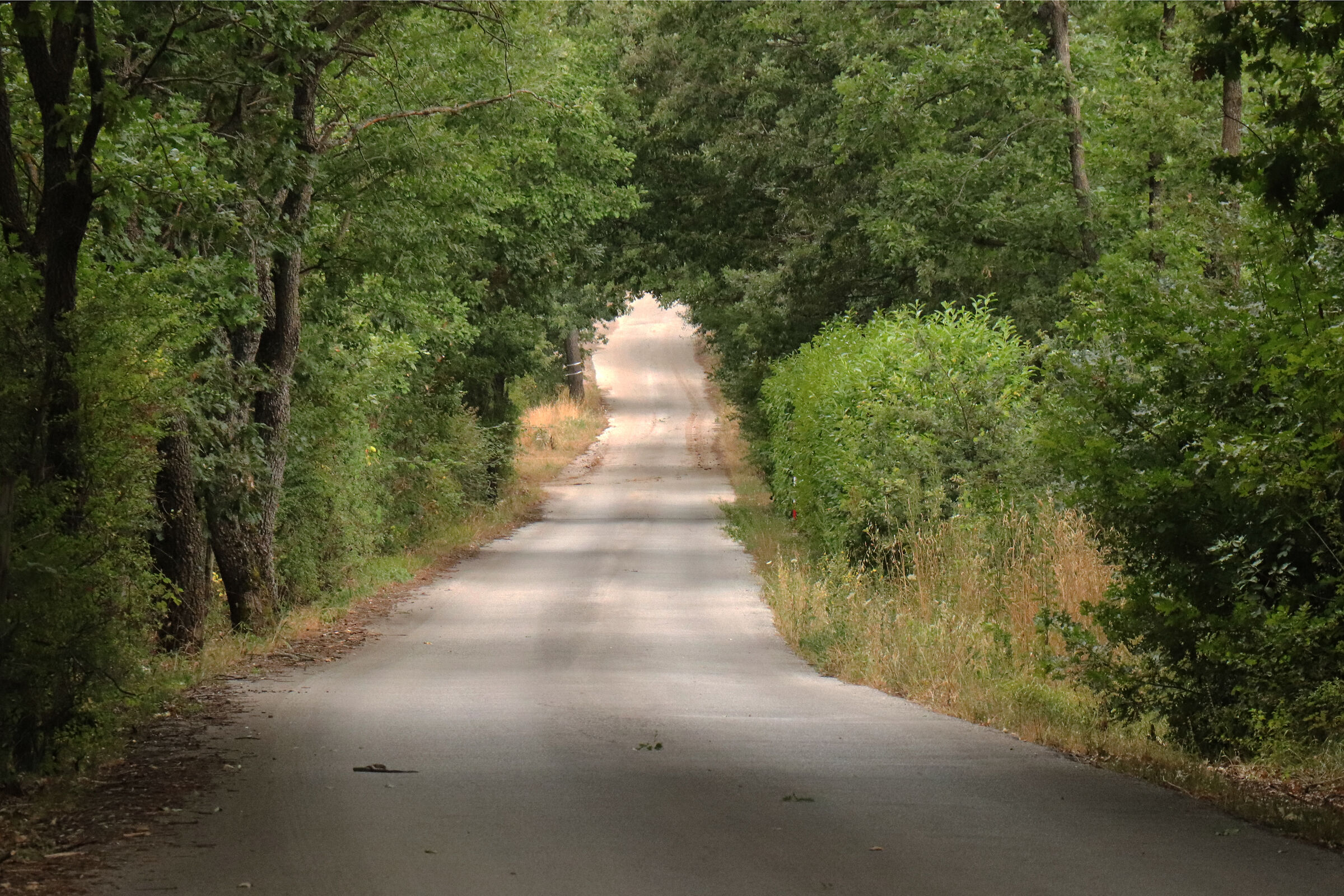 Tunnel verde