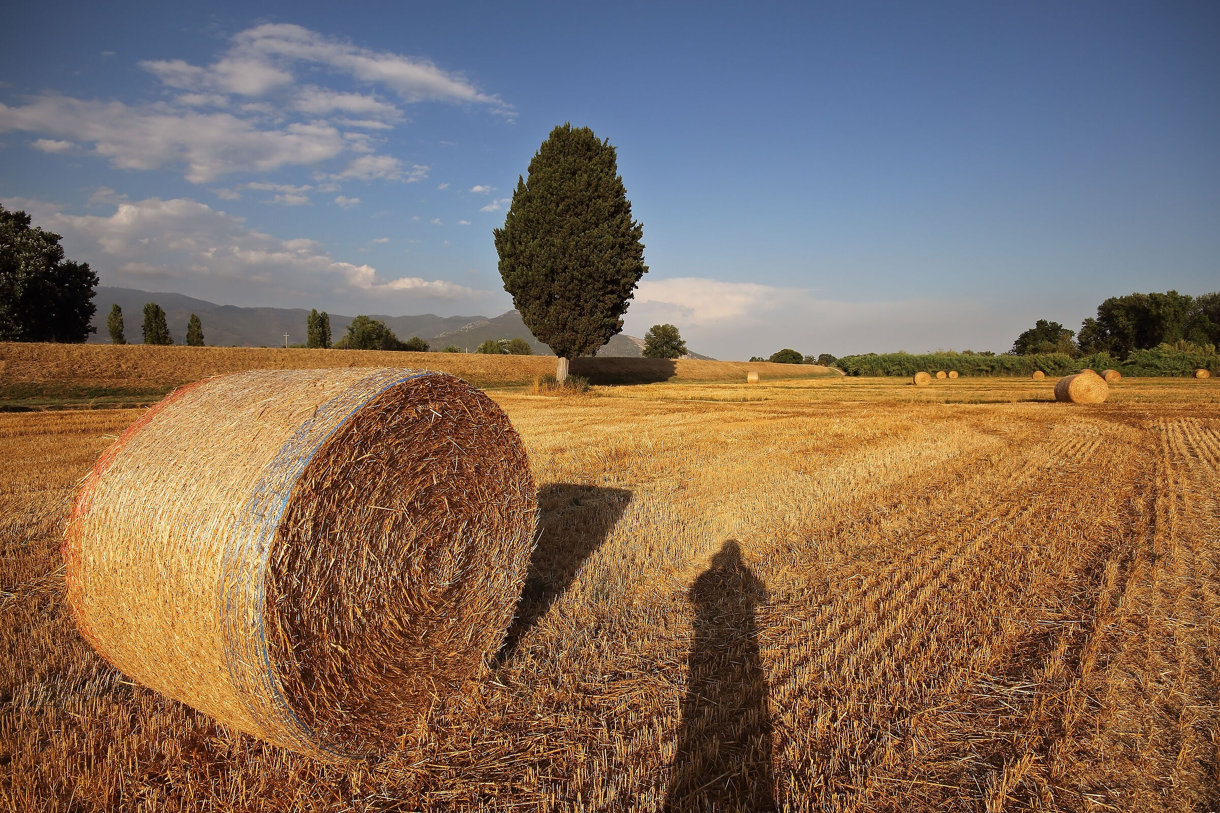 among the lies there is also me ...