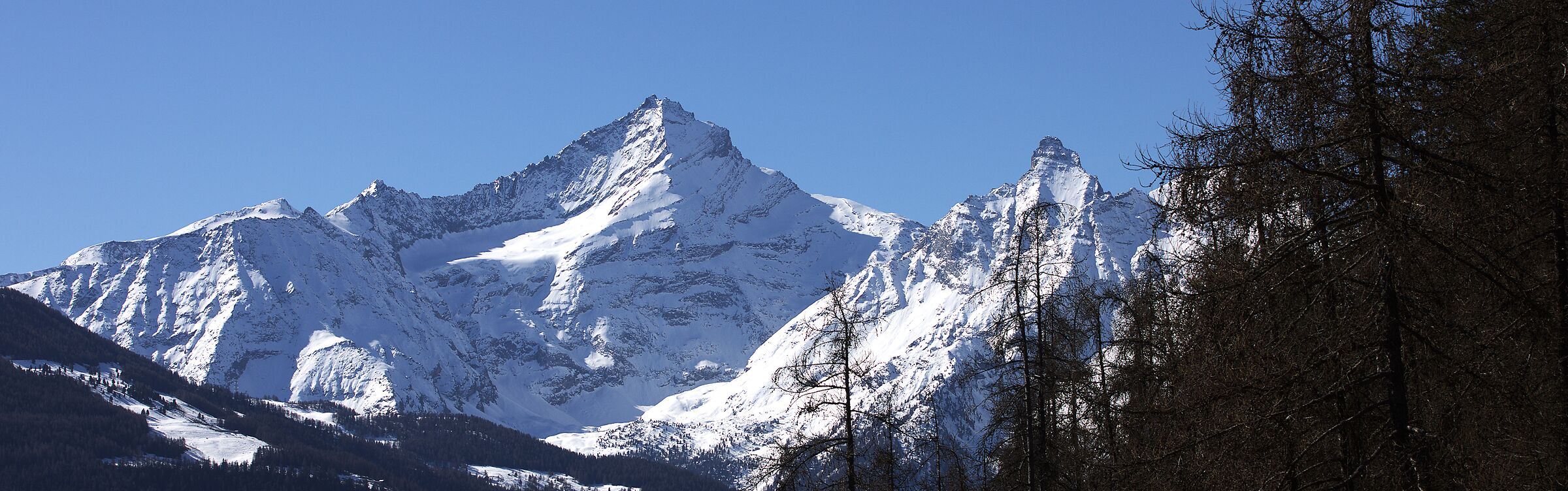 GRIVOLA AND GRAN NOMENON