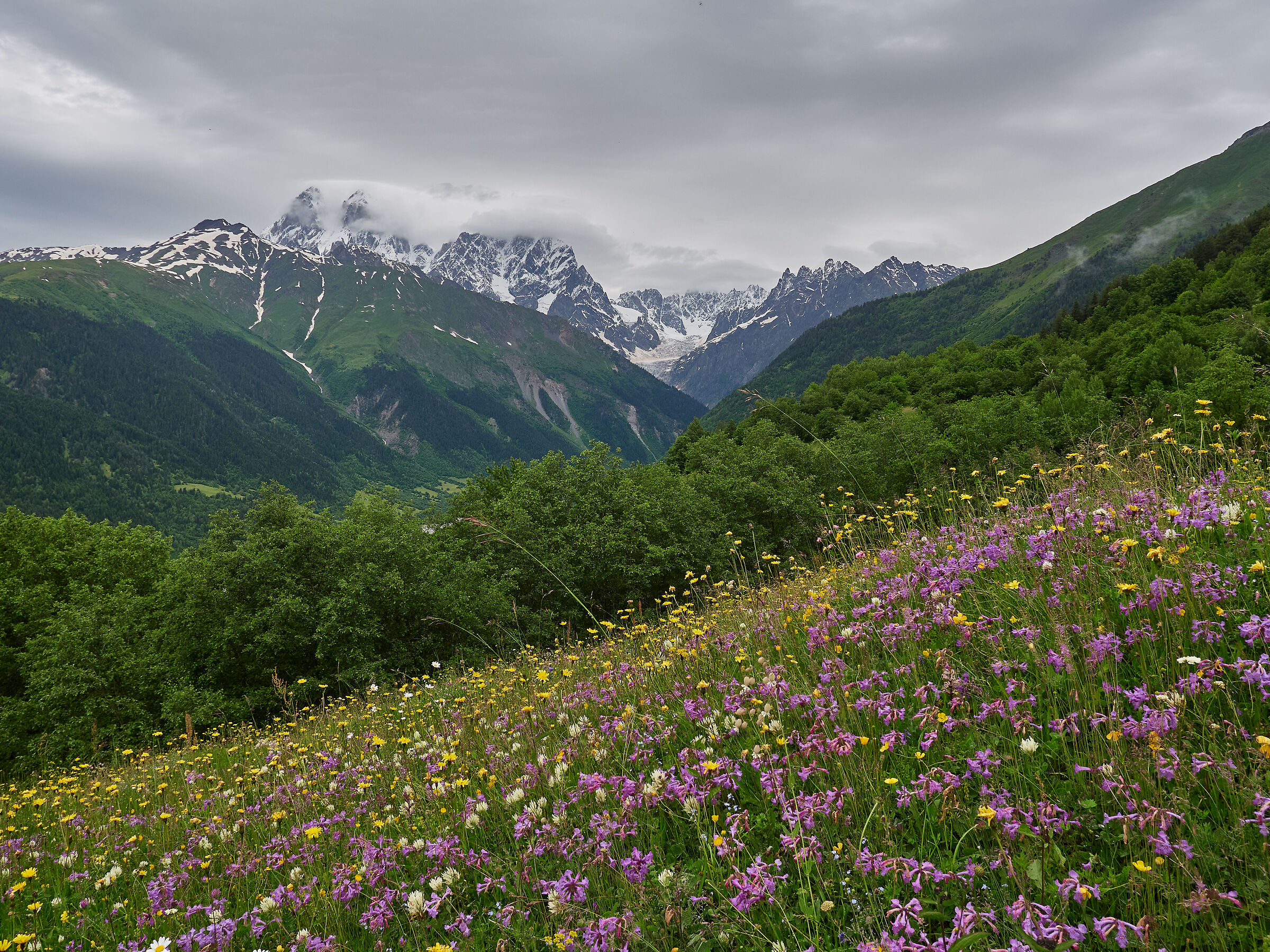 Tra i fiori dello Svaneti