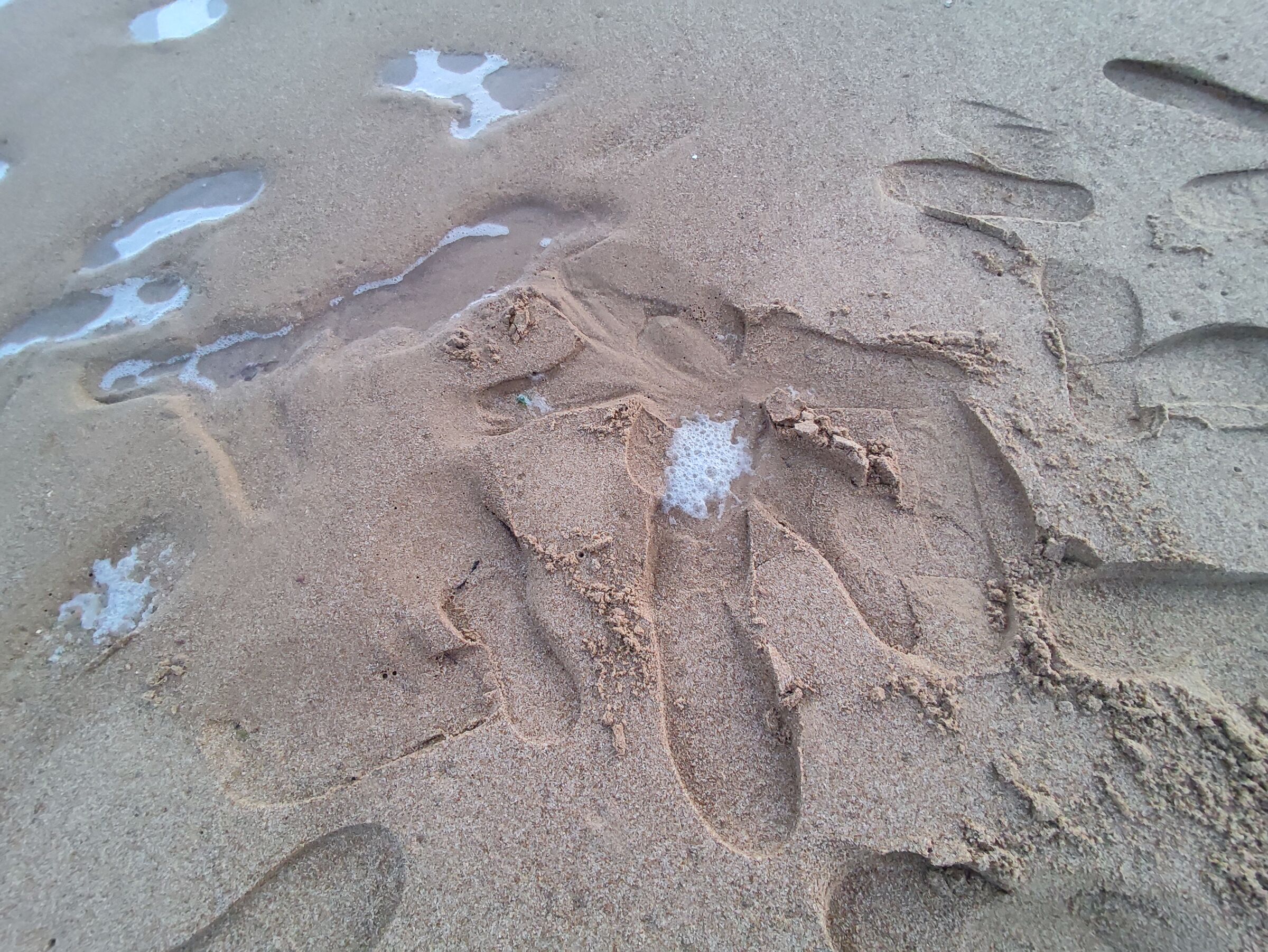 Messy footprints....