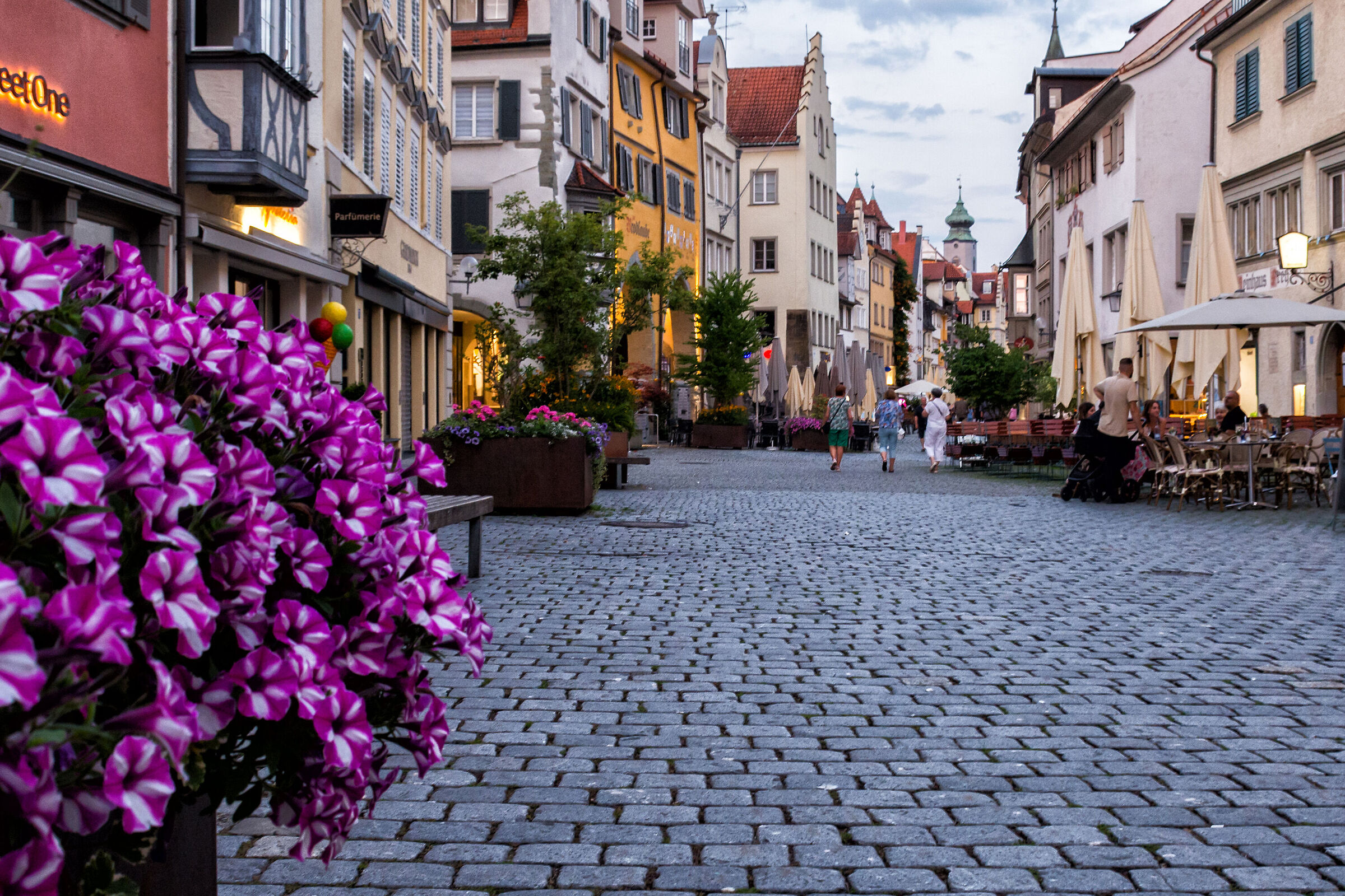 The flowers of Lindau