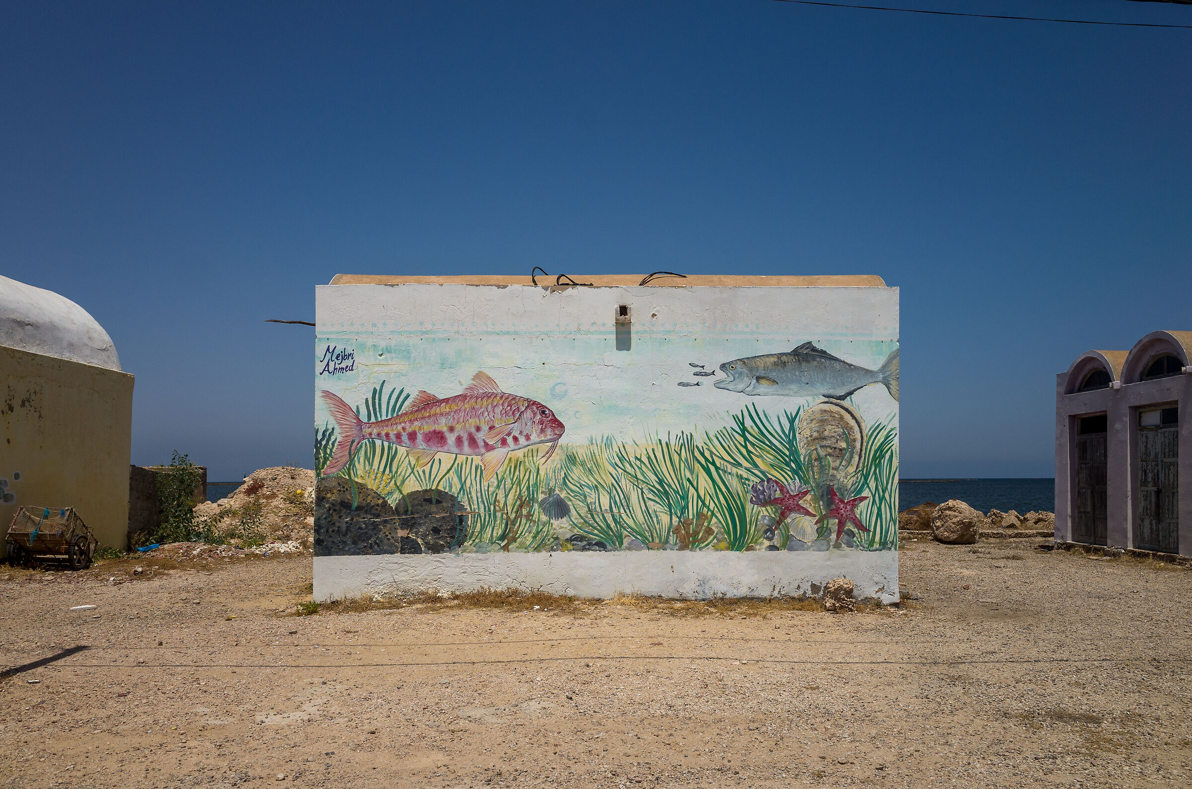 Murales