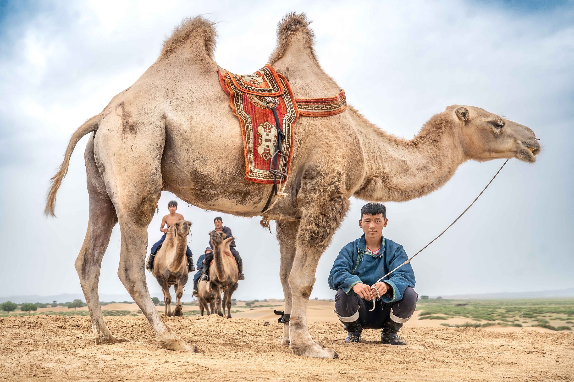 Camel Herders