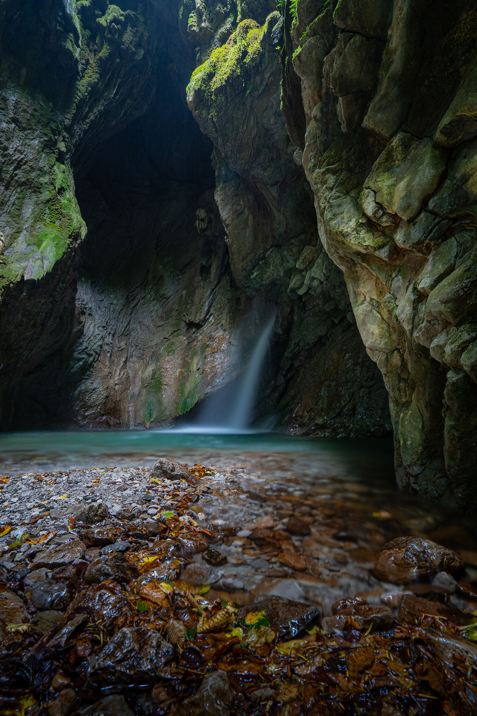 Gorg of the Abyss