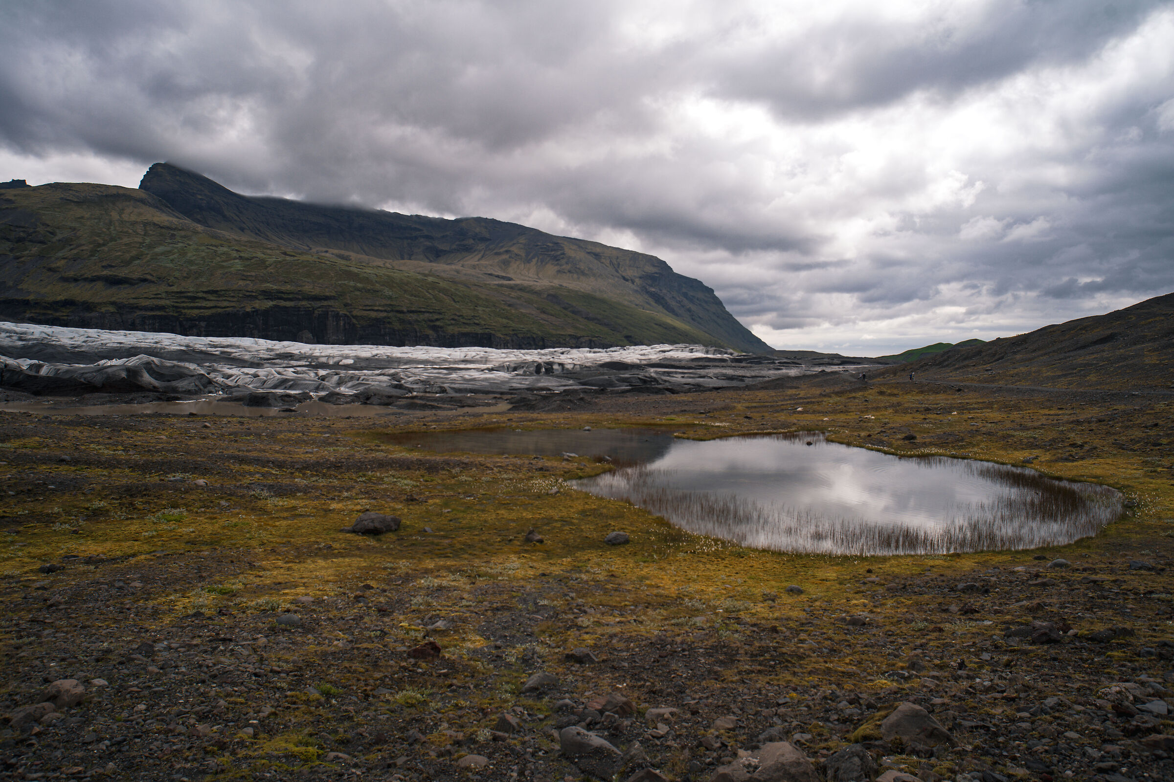 Vatnspollum