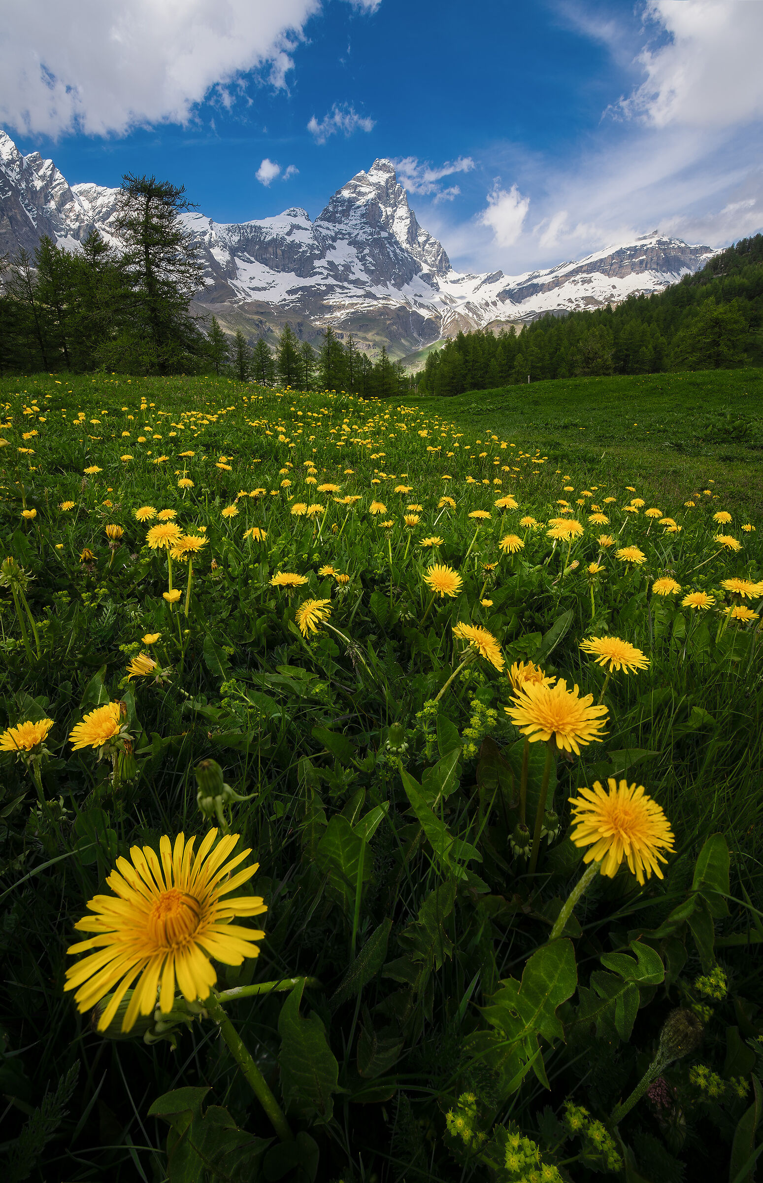 Matterhorn landscapes