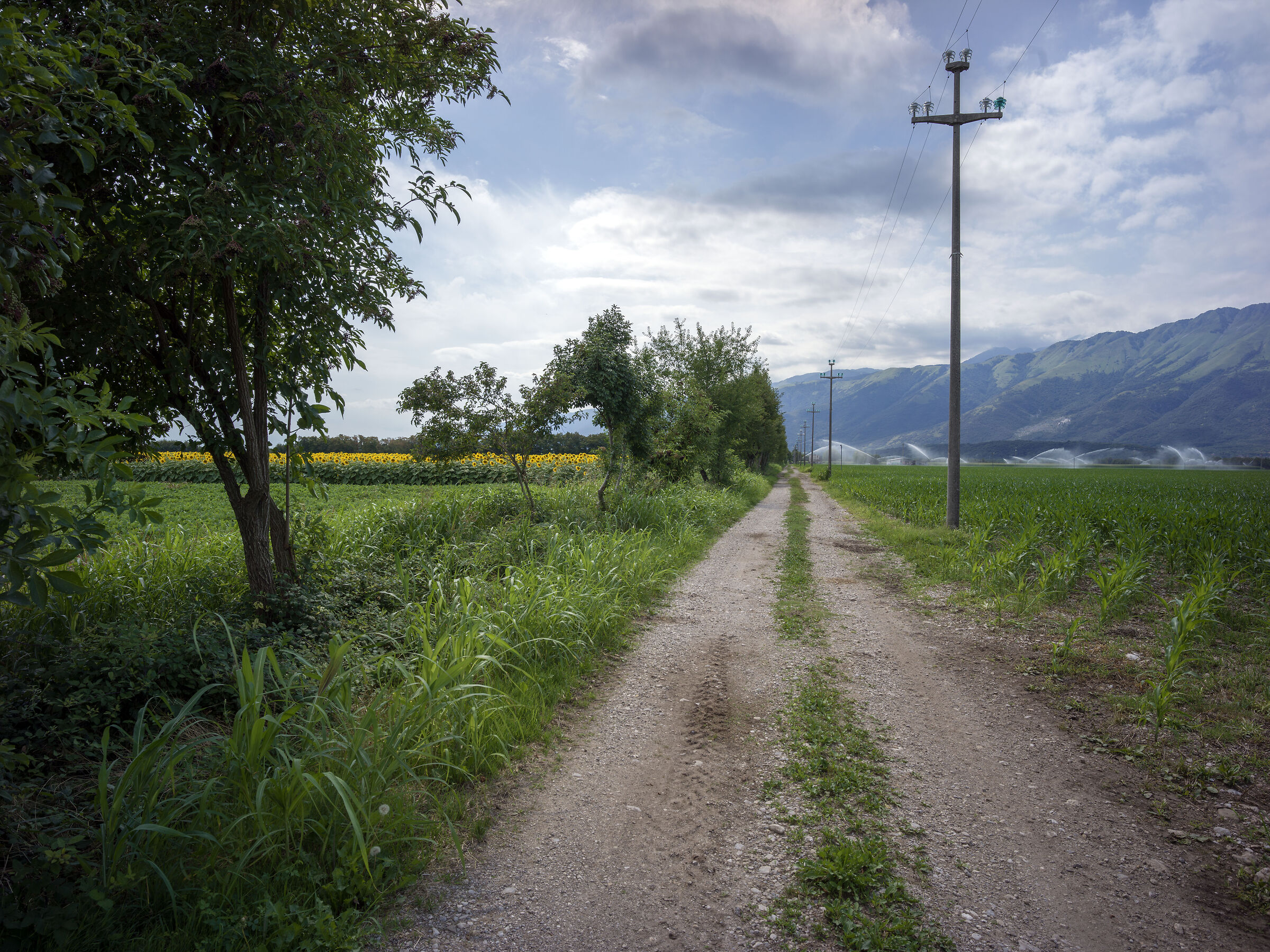 On the slopes of Piancavallo