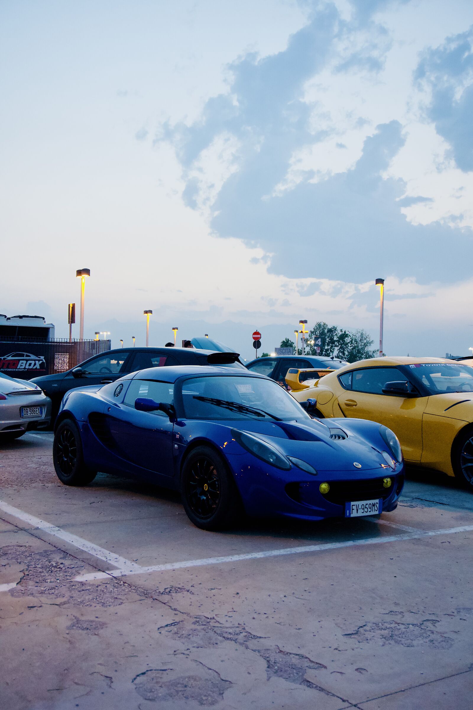 Lotus