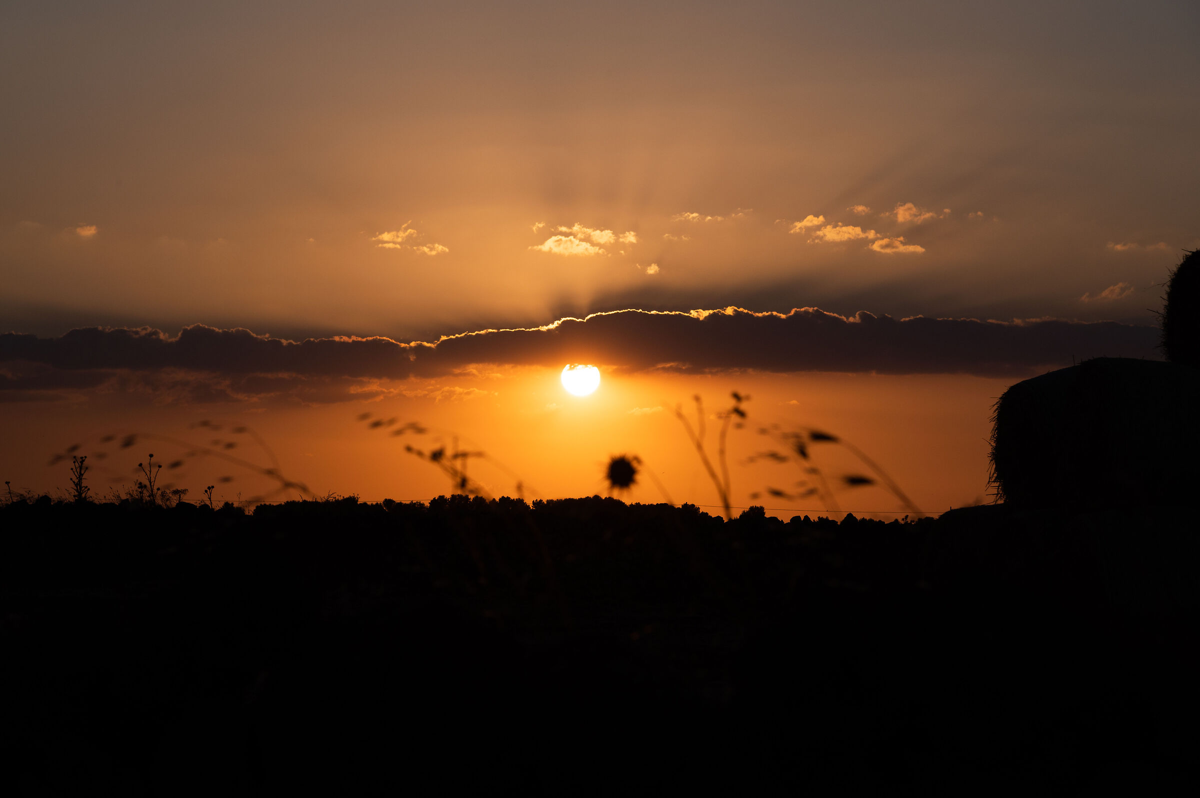 Sunset in the masseria