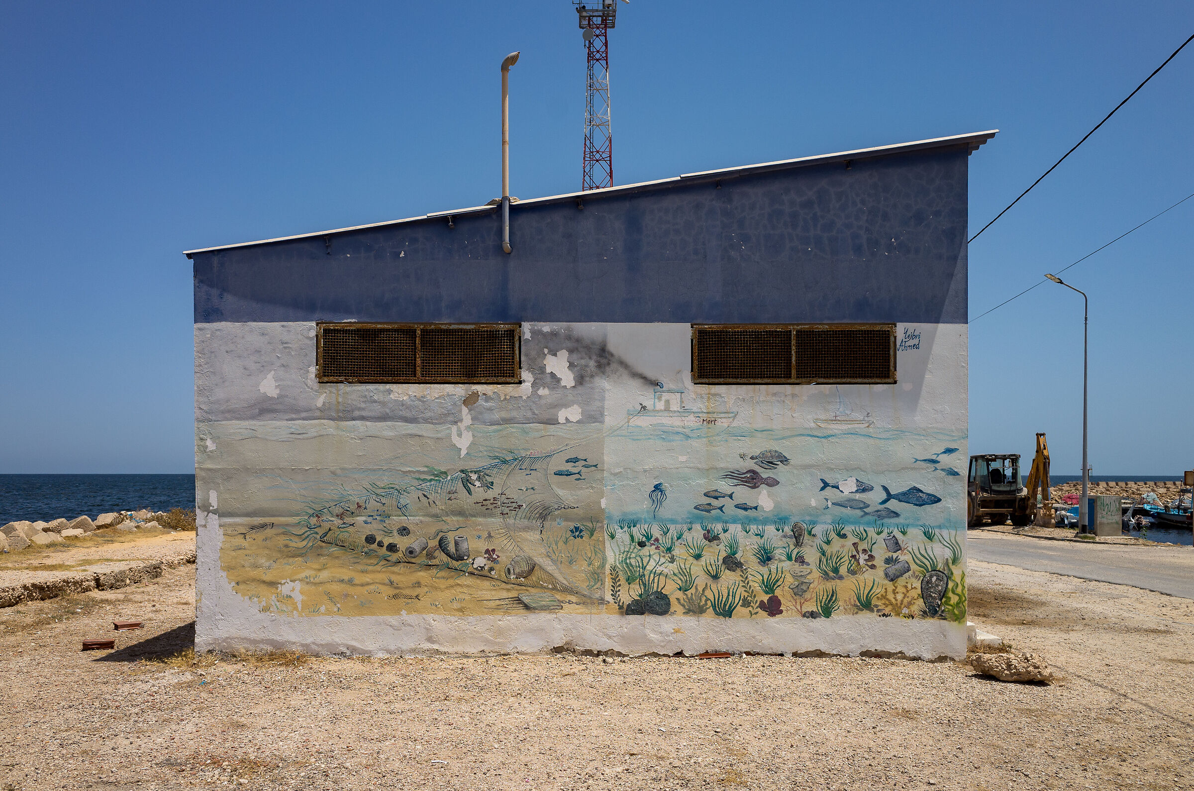 Murals