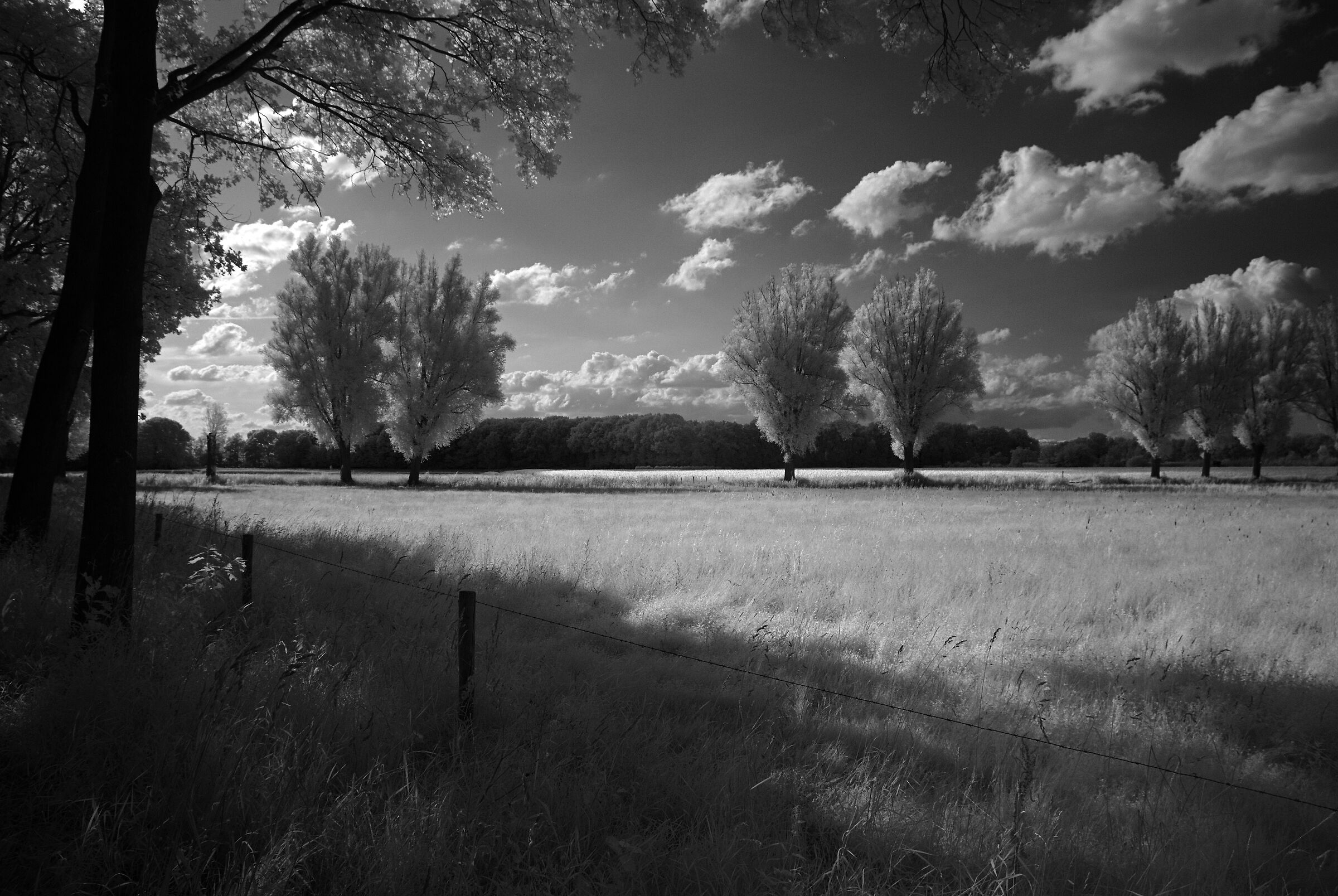 Evening Mood at Swalm Broek
