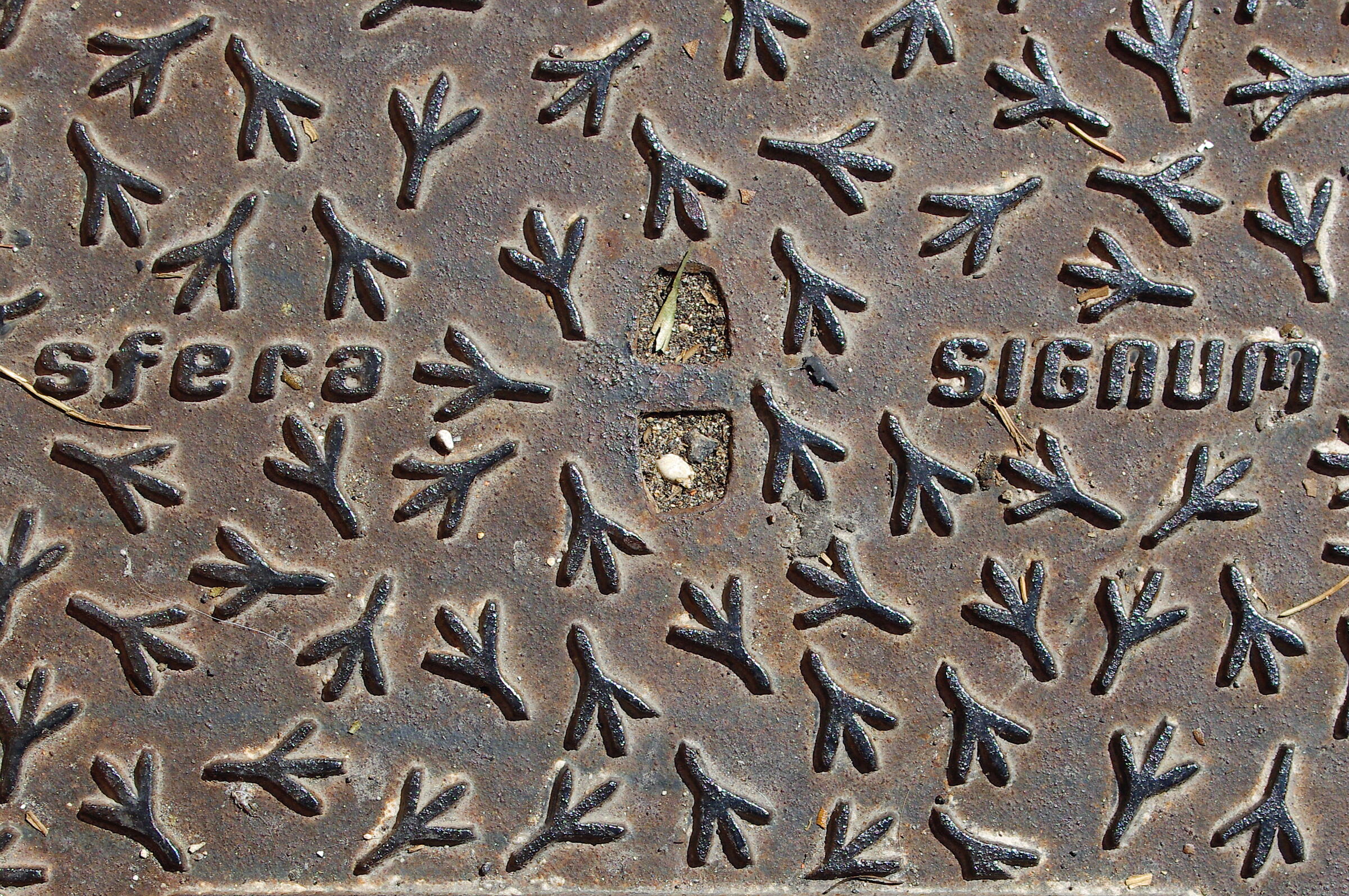 Manhole cover n.1