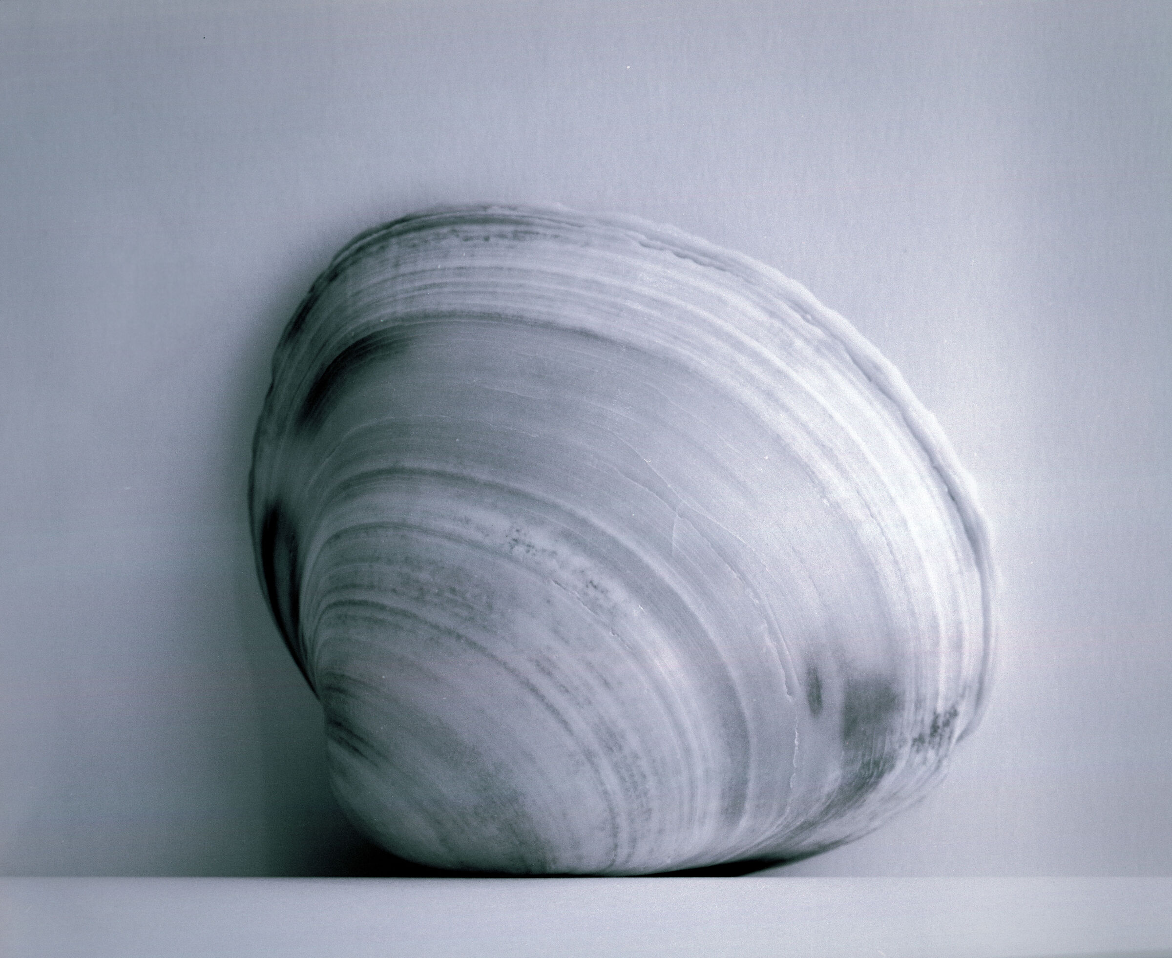 macro esercizio numero 6