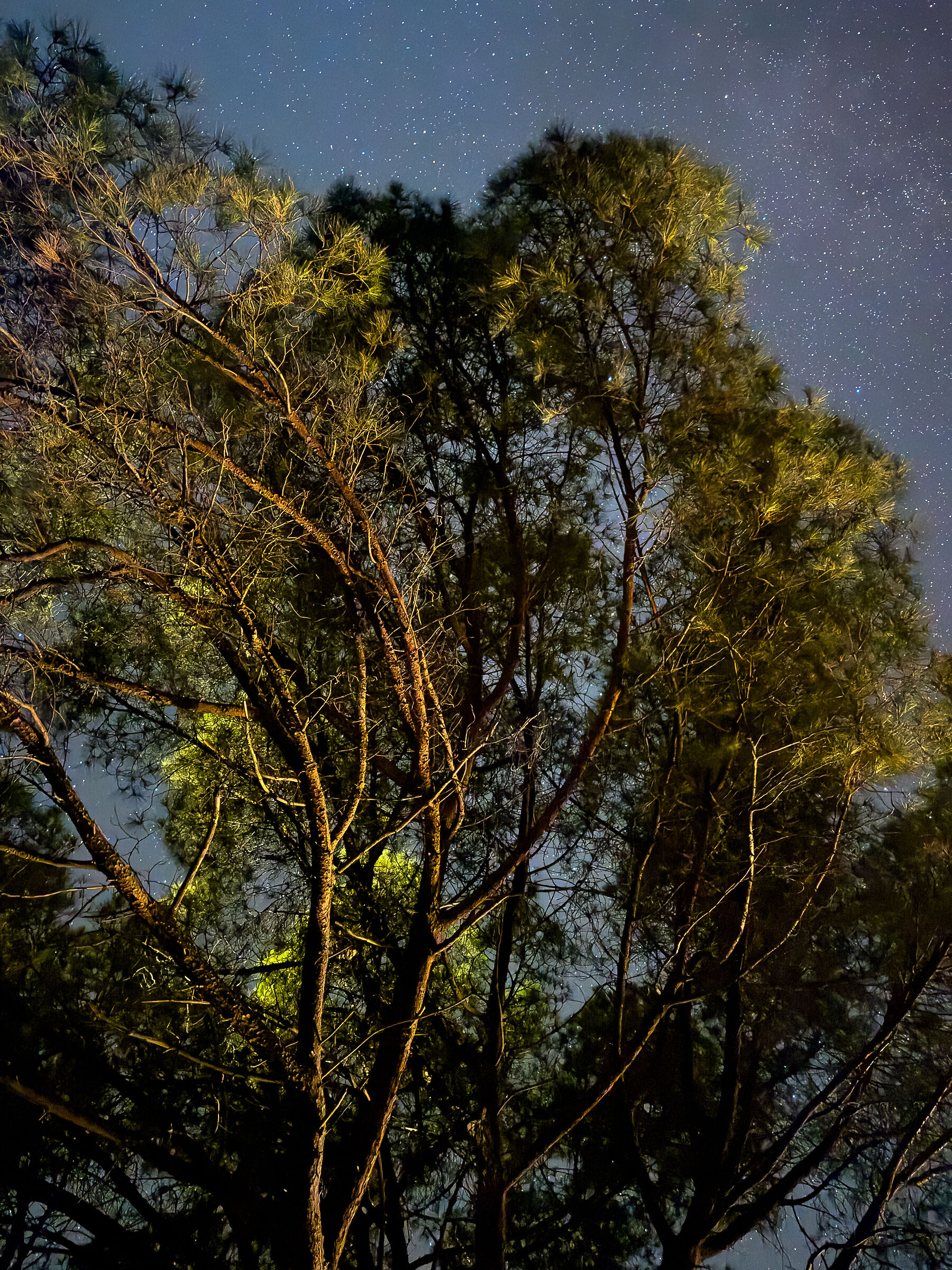 In the middle of nowhere