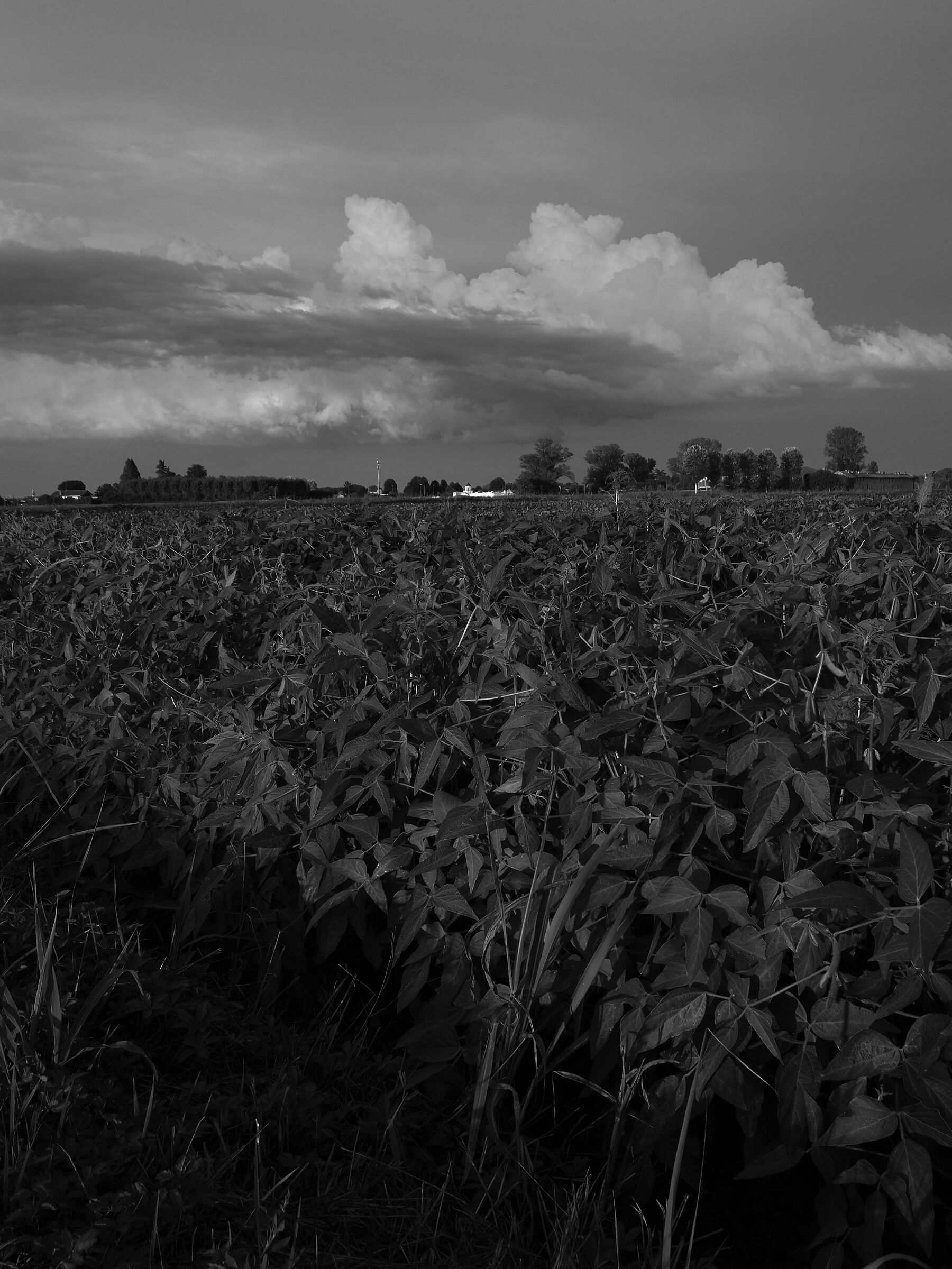 profondità........ di campo