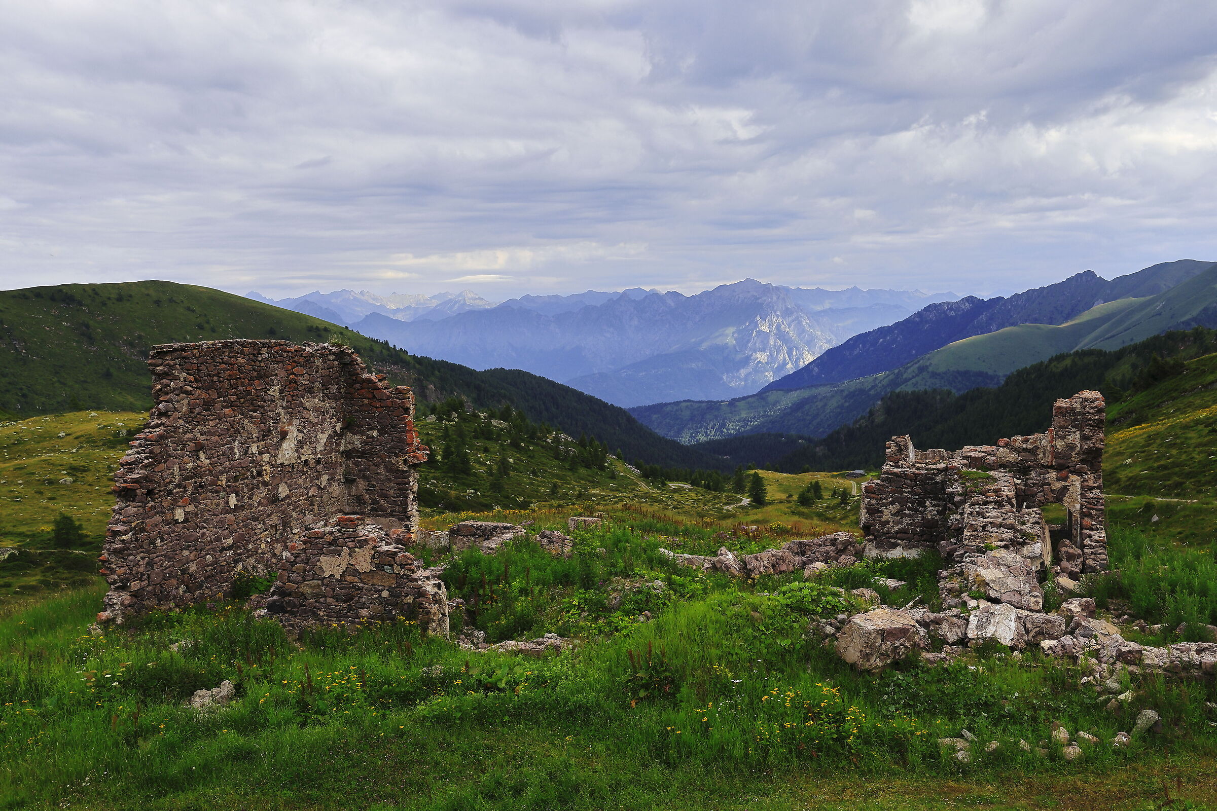 Ruderi