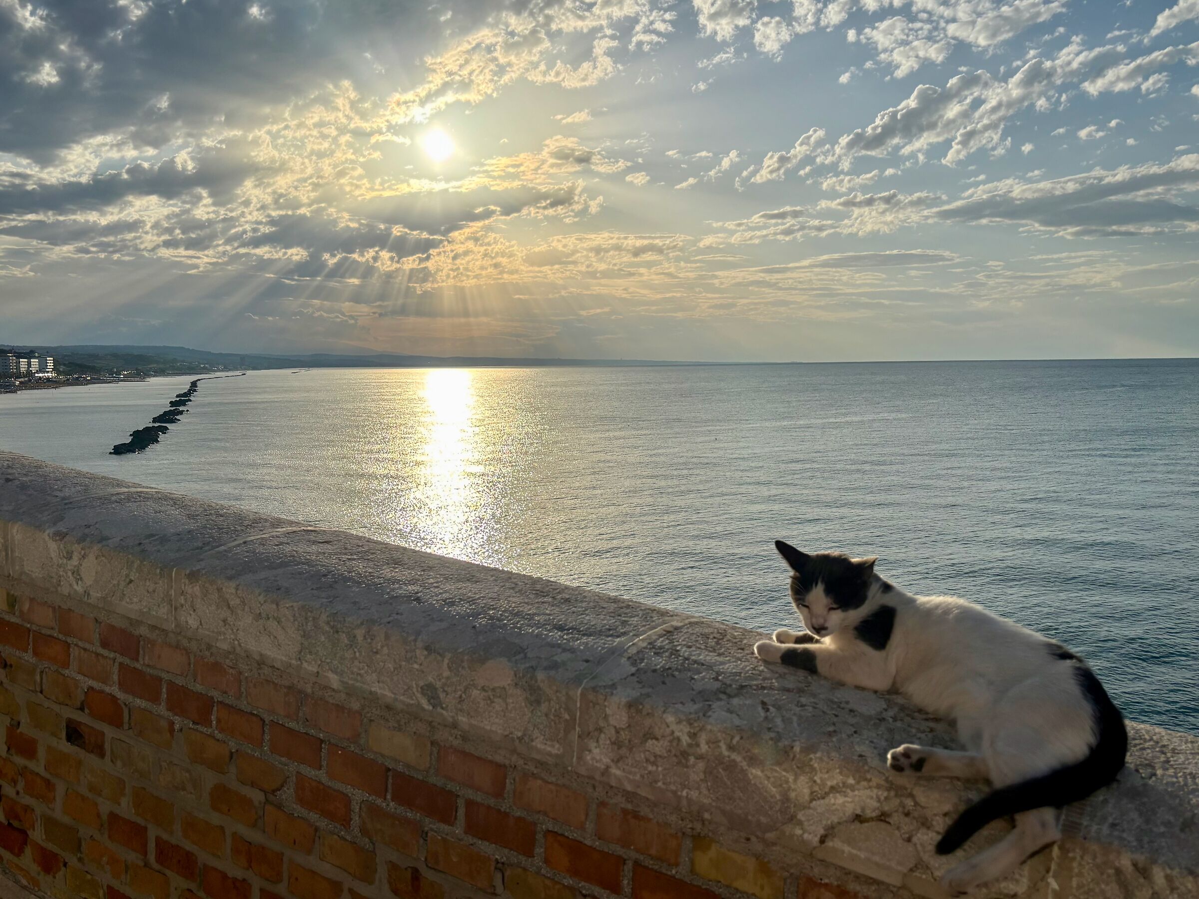 Lying on the ancient walls of Termoli.