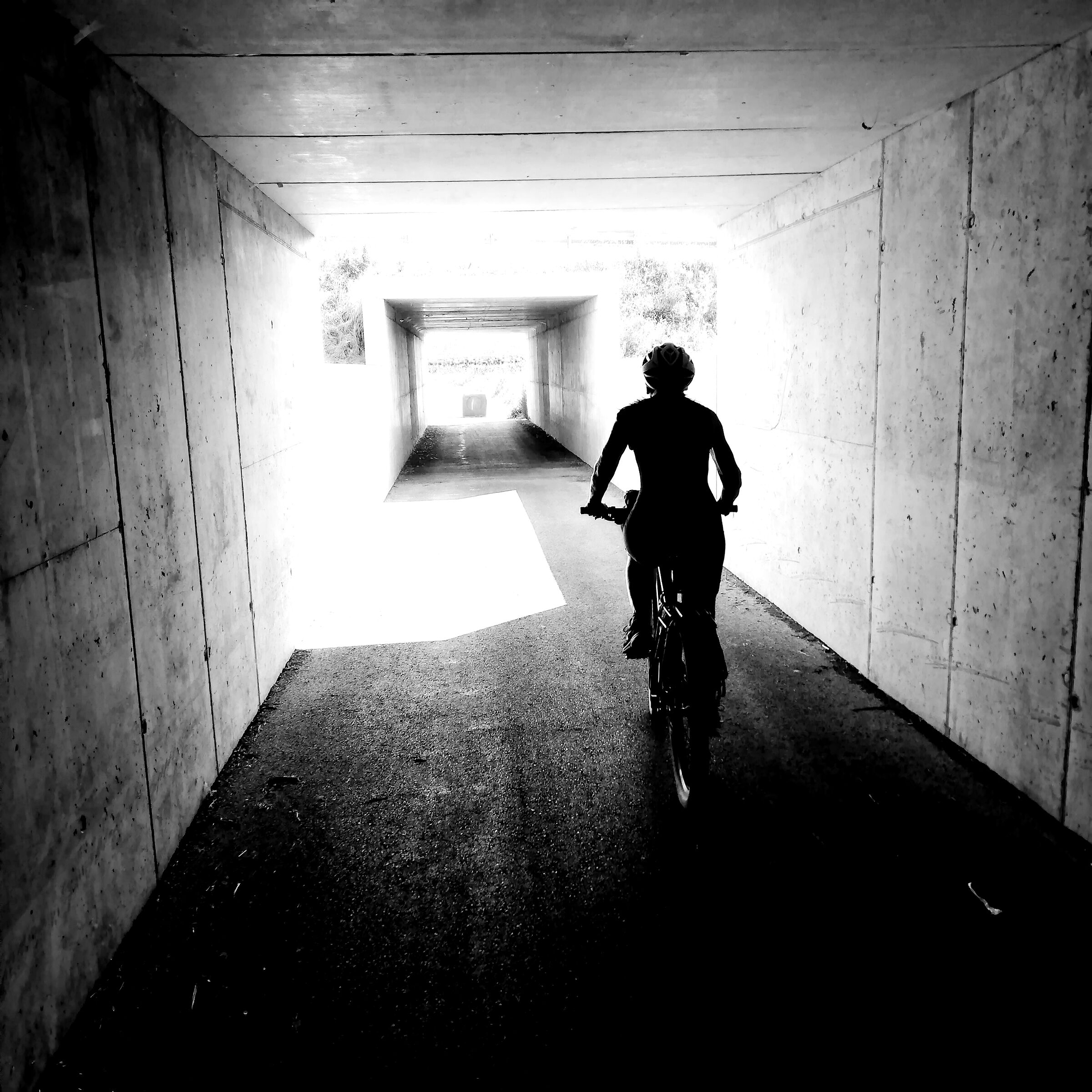 Untitled Photo
