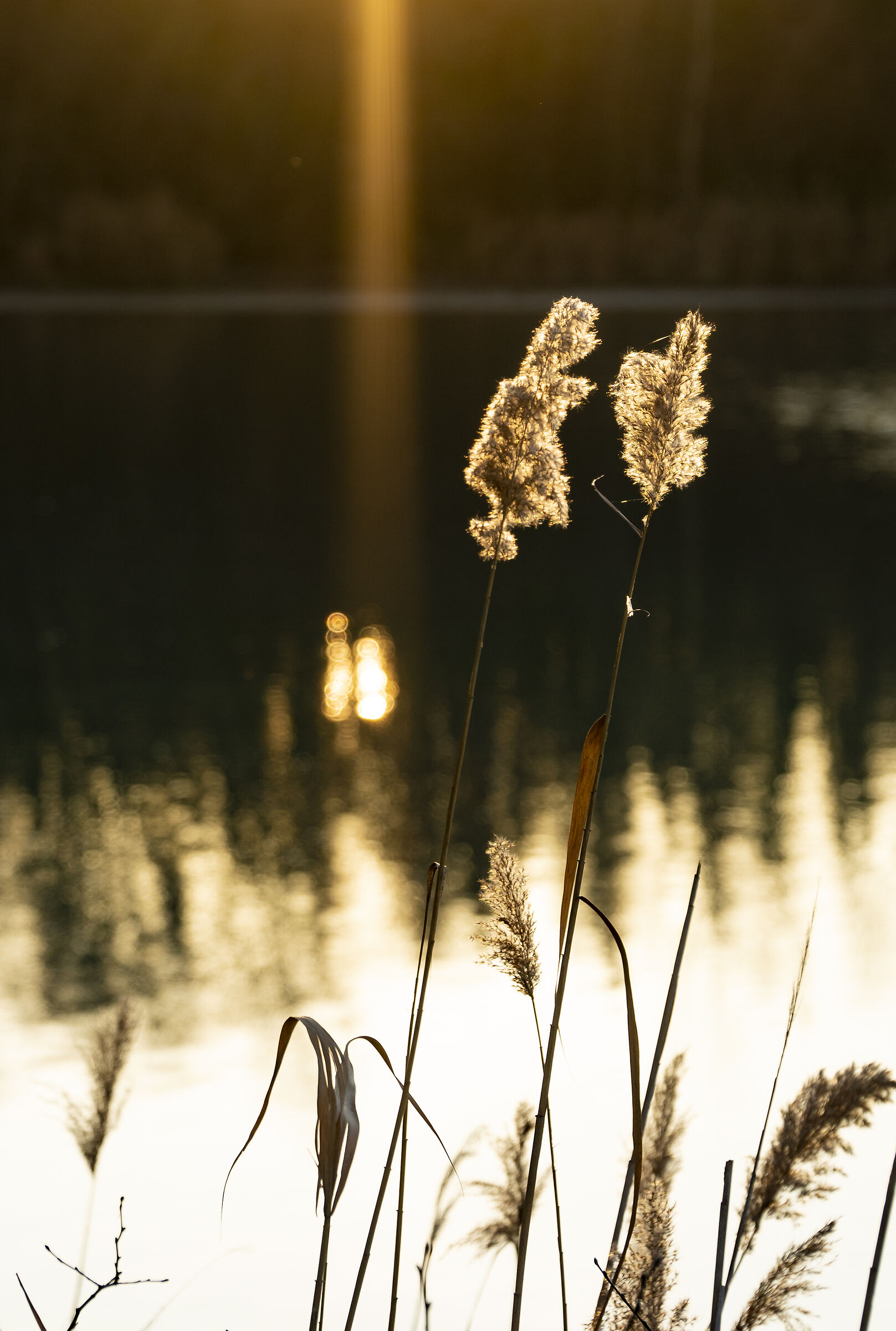 Tramonto sul lago