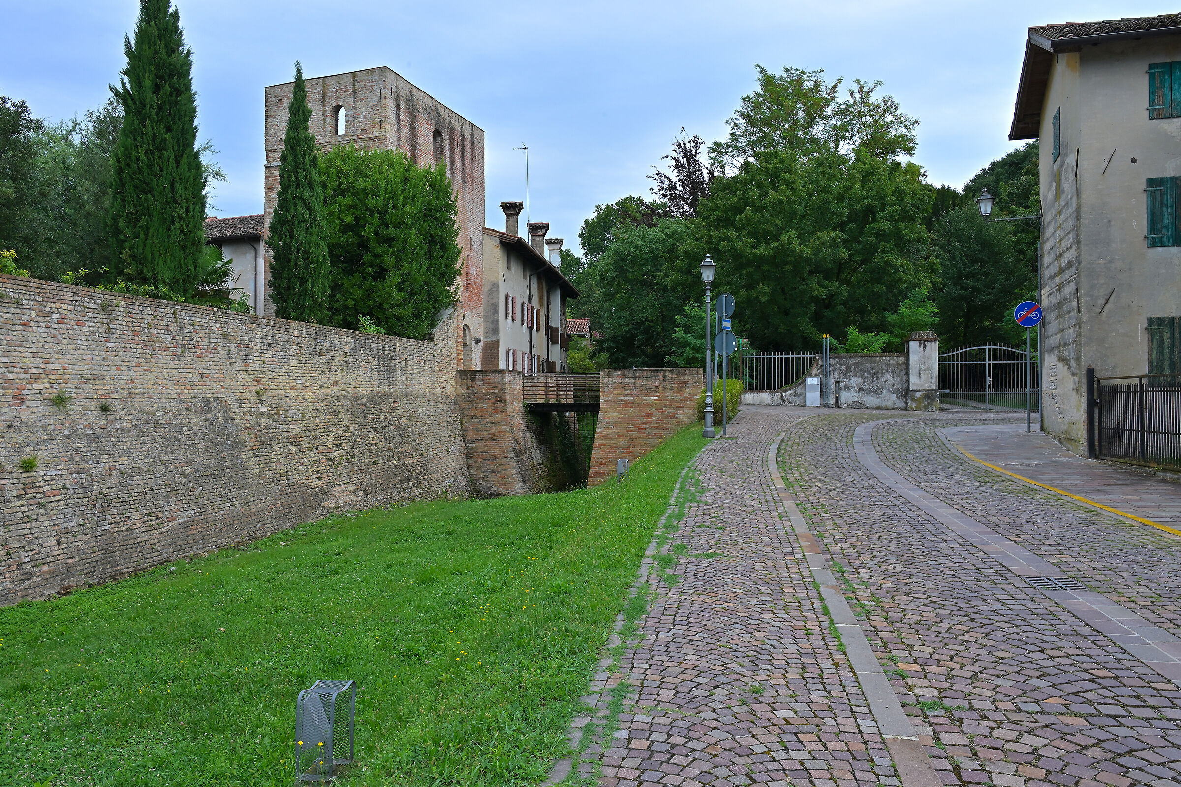 Untitled Photo