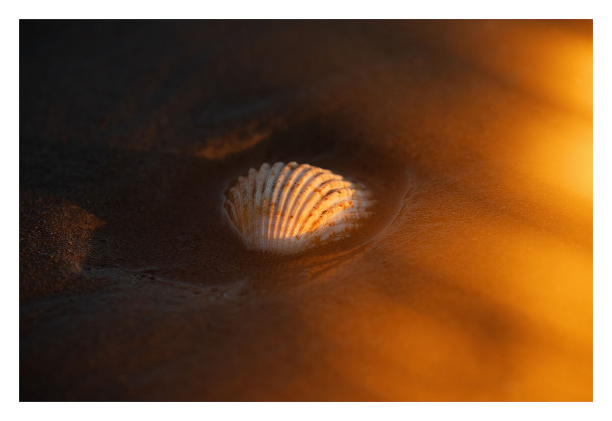 Rays of light