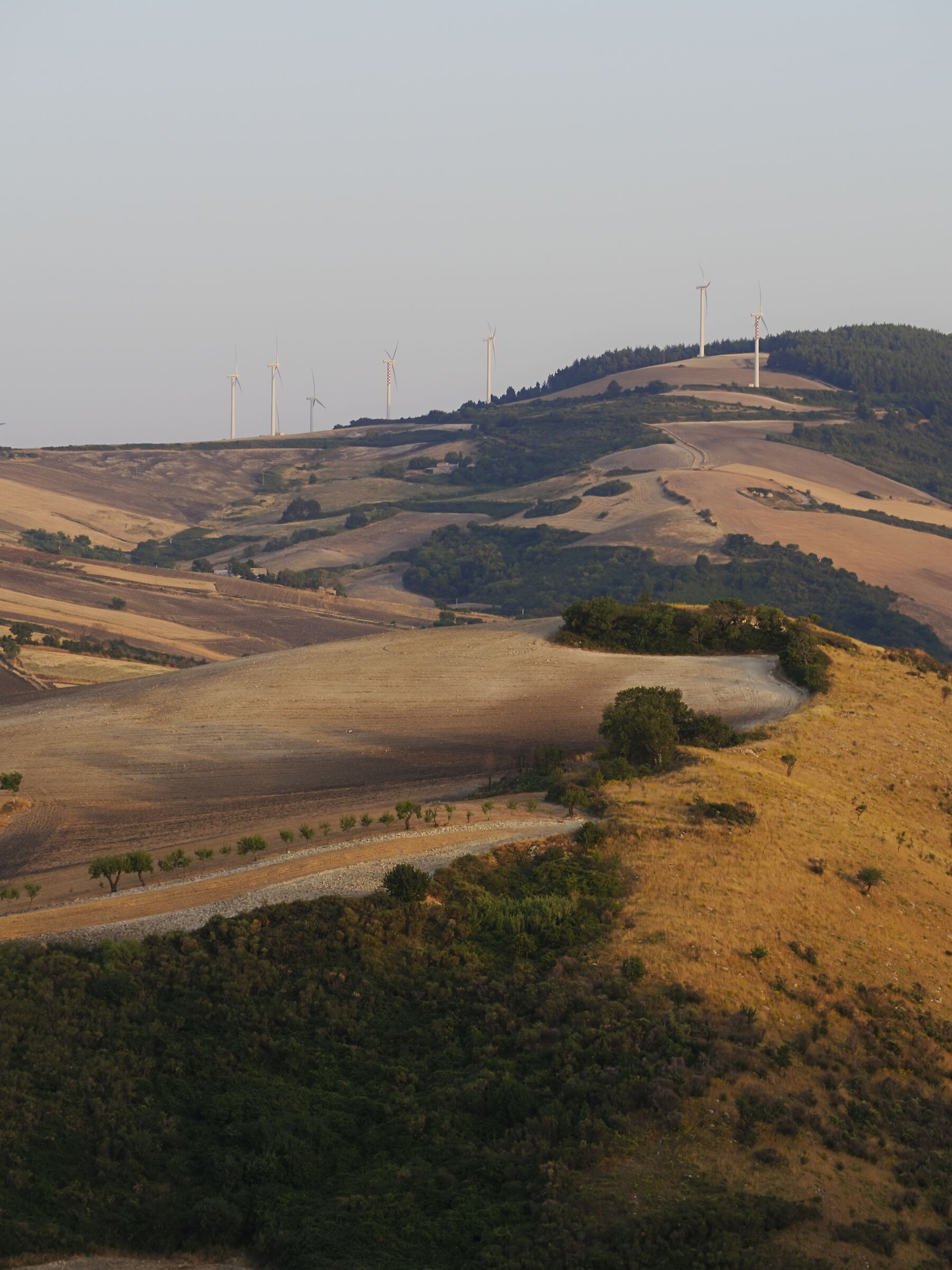 Monti Dauni - Foggia (Fg)