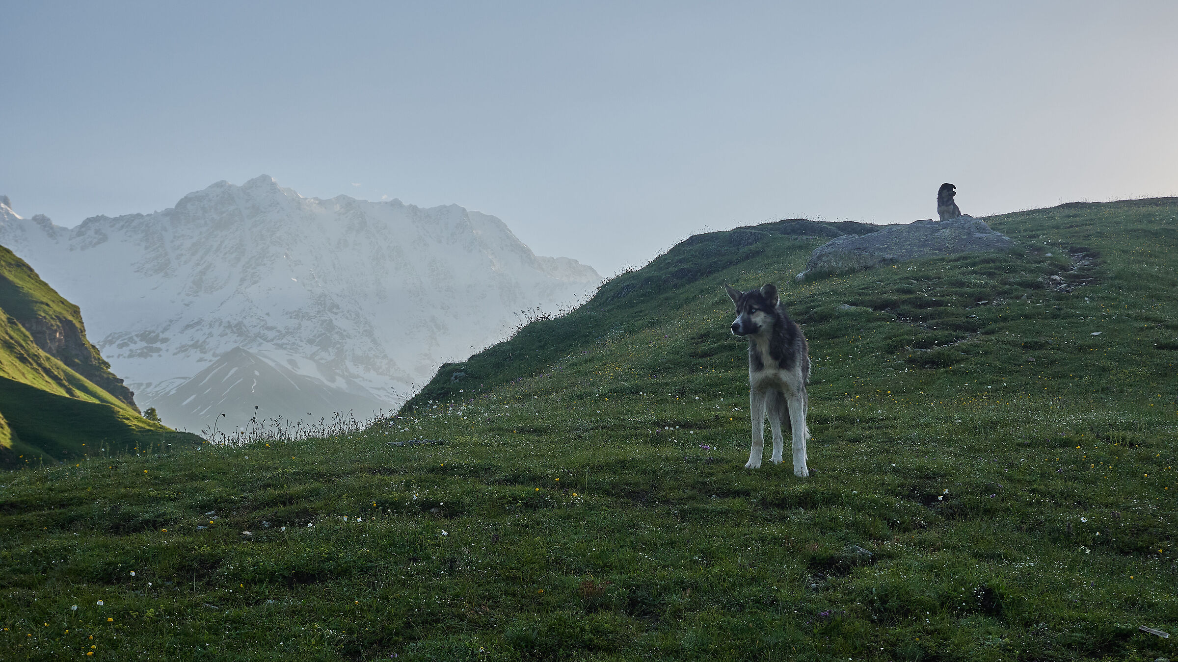 I guardiani della chiesa di San Michele