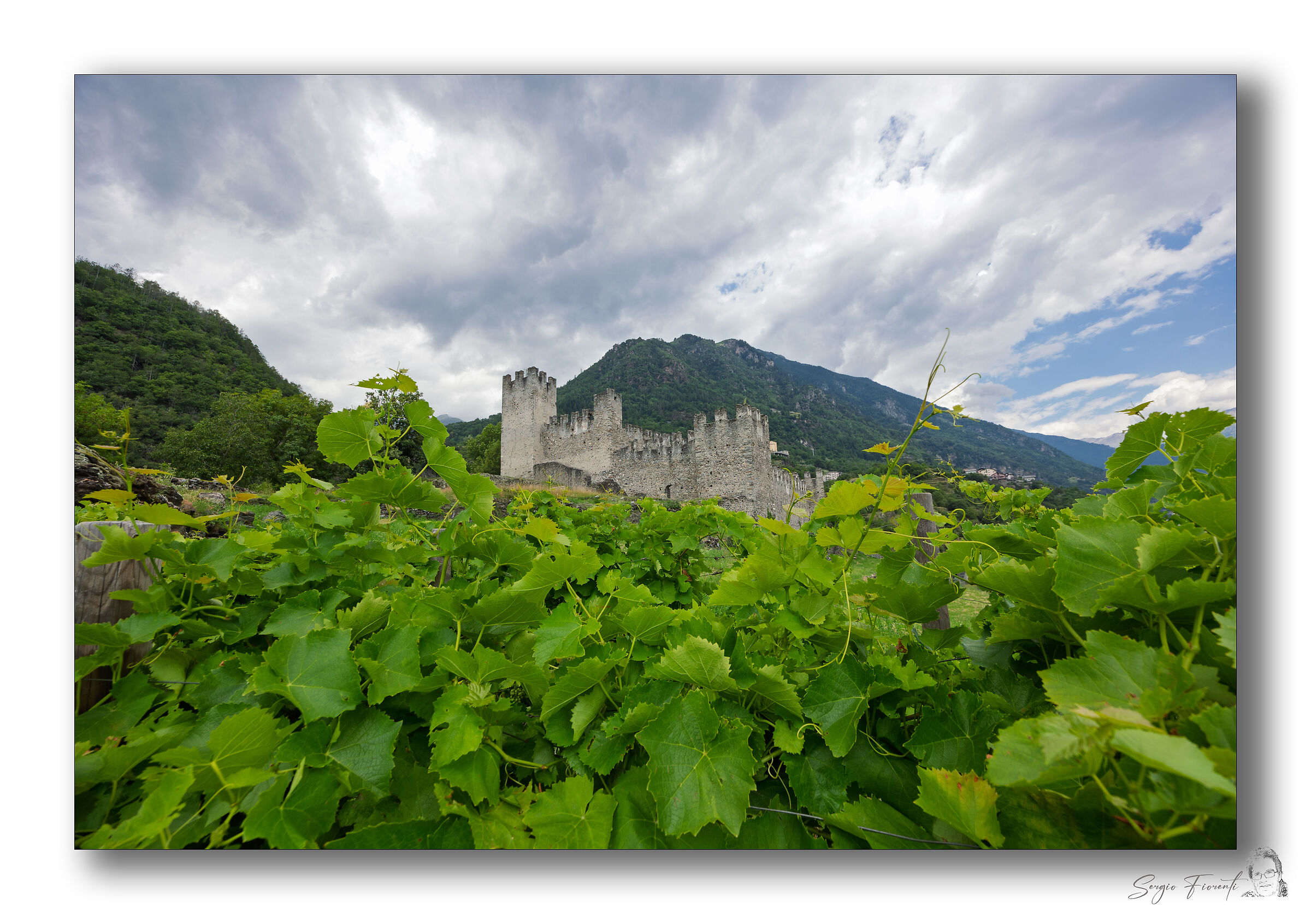 Let's get ready for the Harvest