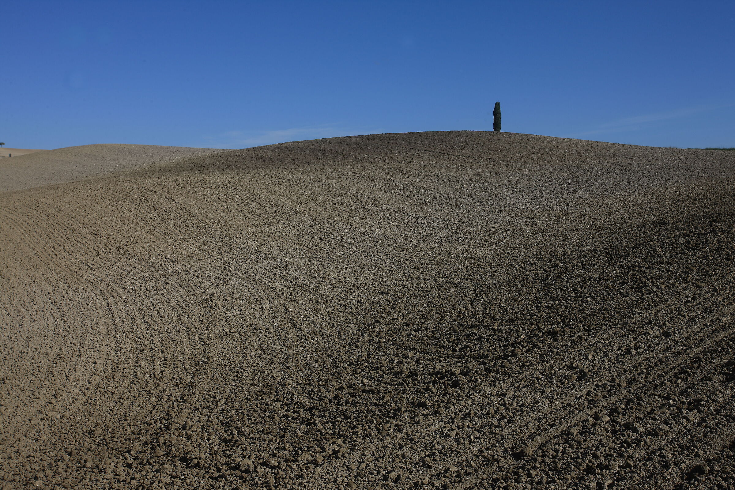 Terre di Val d'Orcia