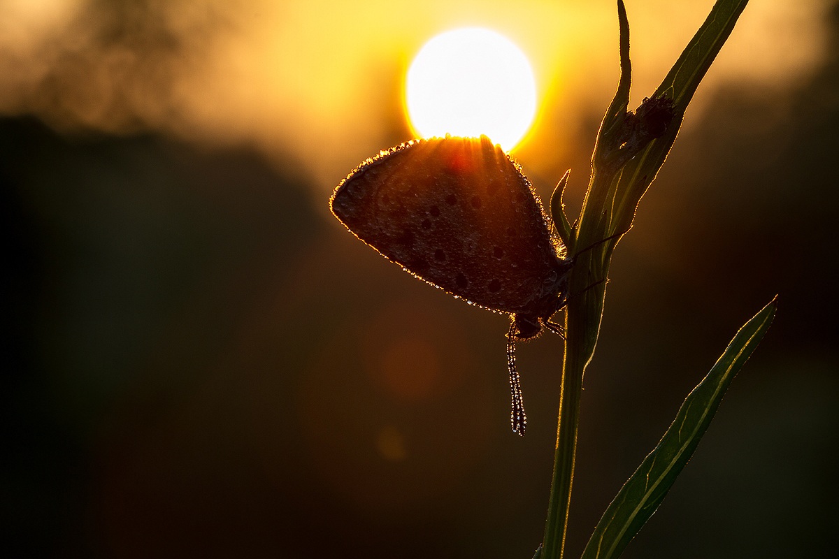 All'alba di un nuovo giorno