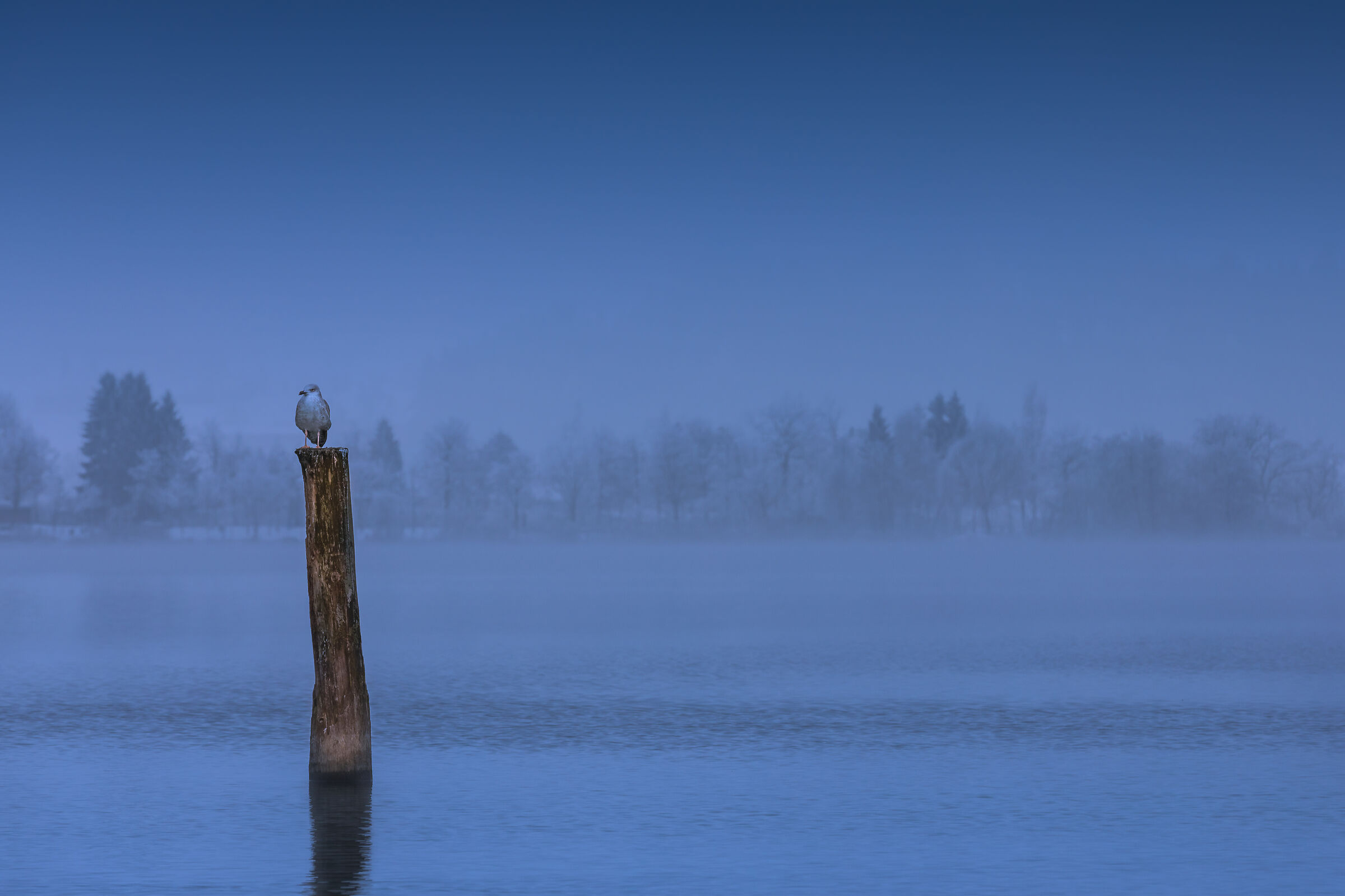 Sempachersee