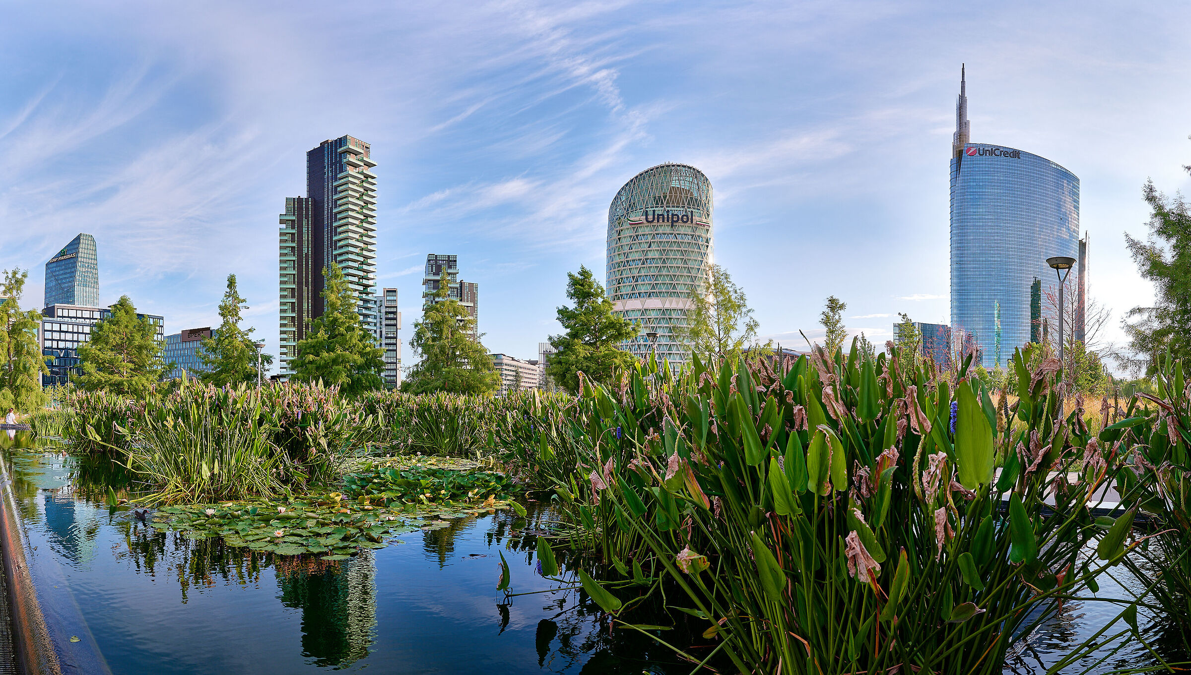 Welcome to the Urban Jungle