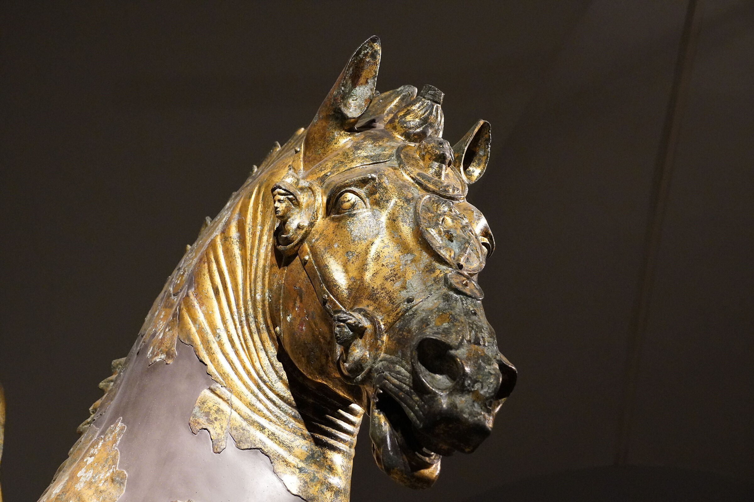 Bronzi dorati del Museo di Pergola (pu)