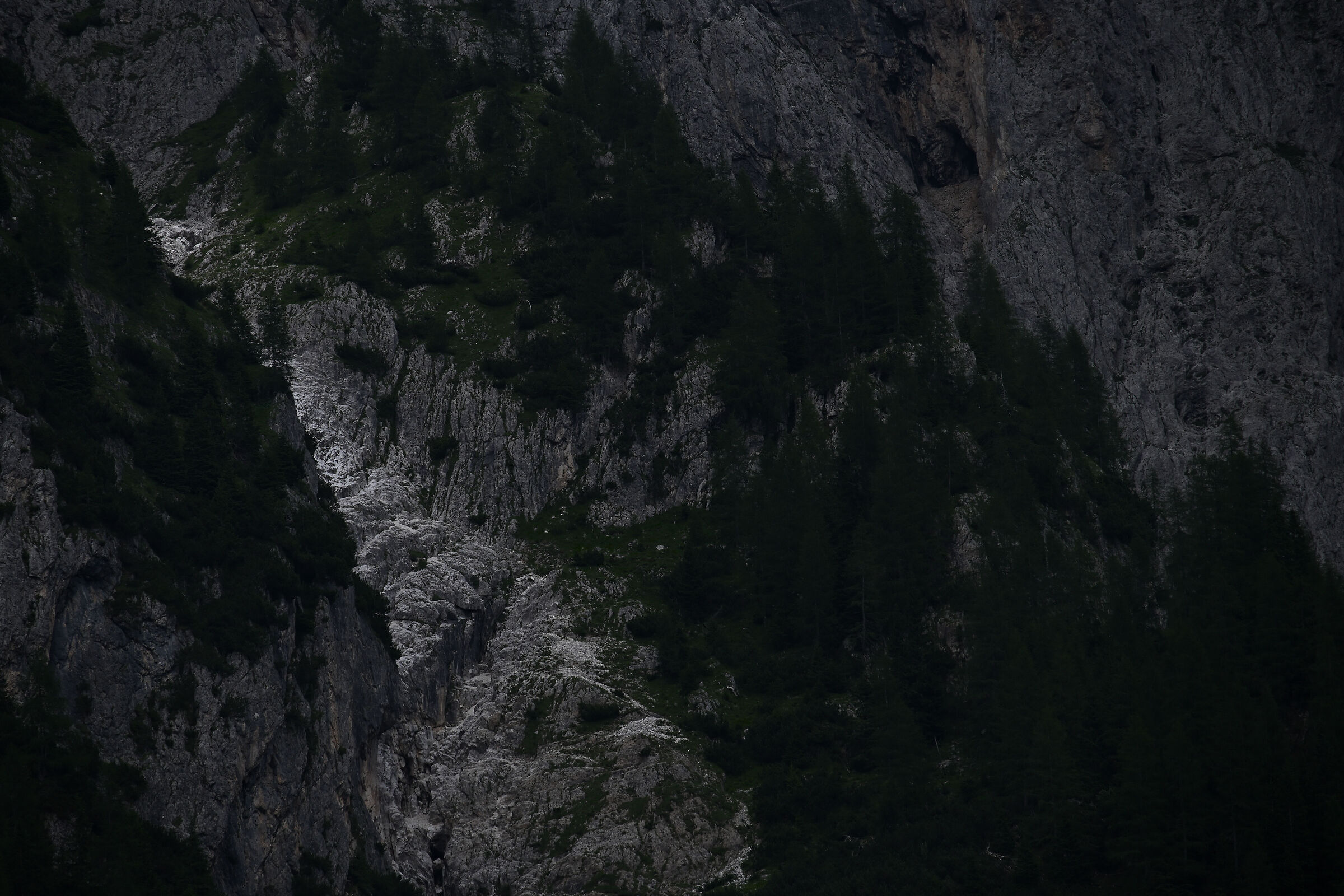 pale s.martino 10 colori