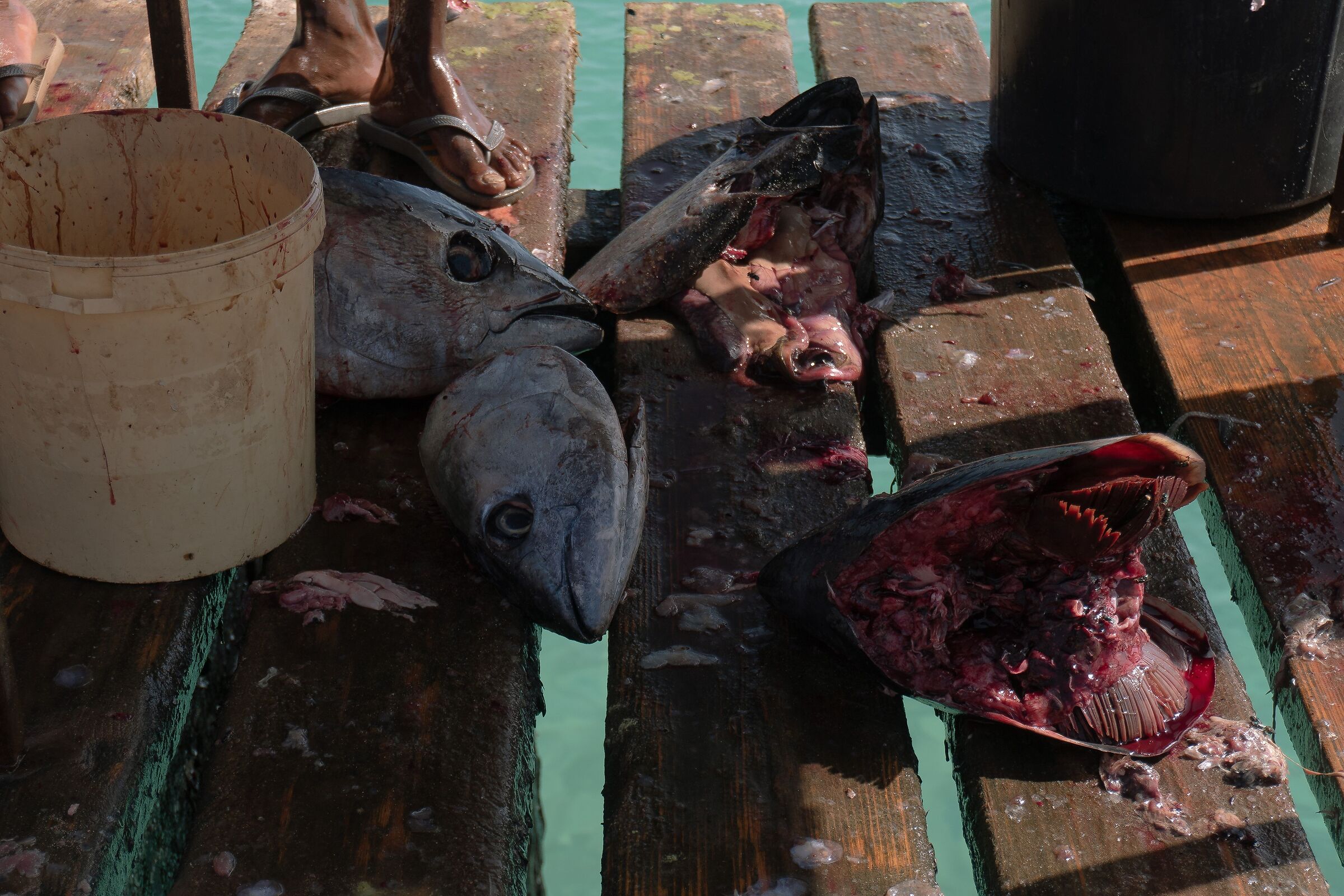 Santa Maria Market Cape Verde