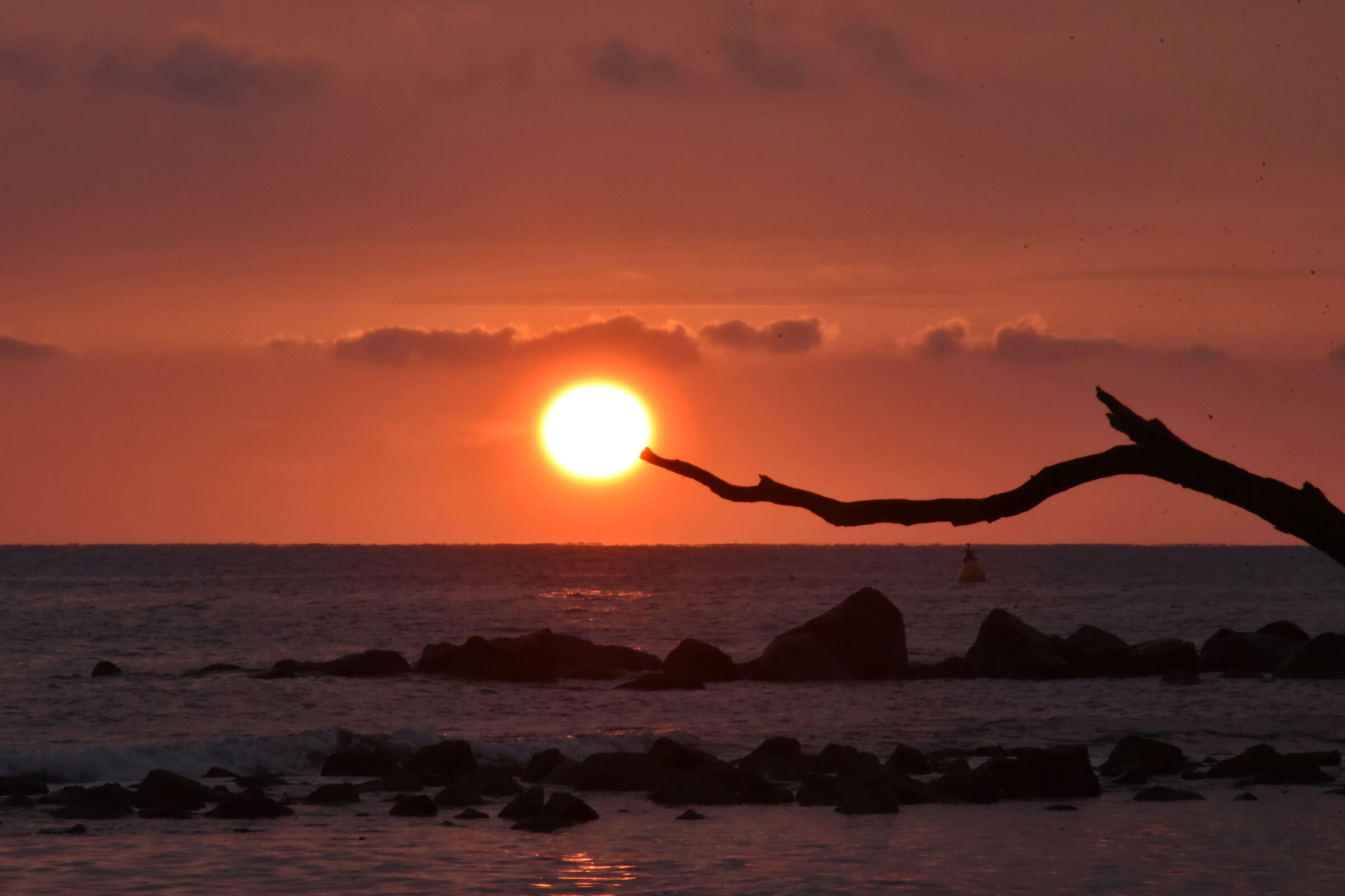 That branch that.....