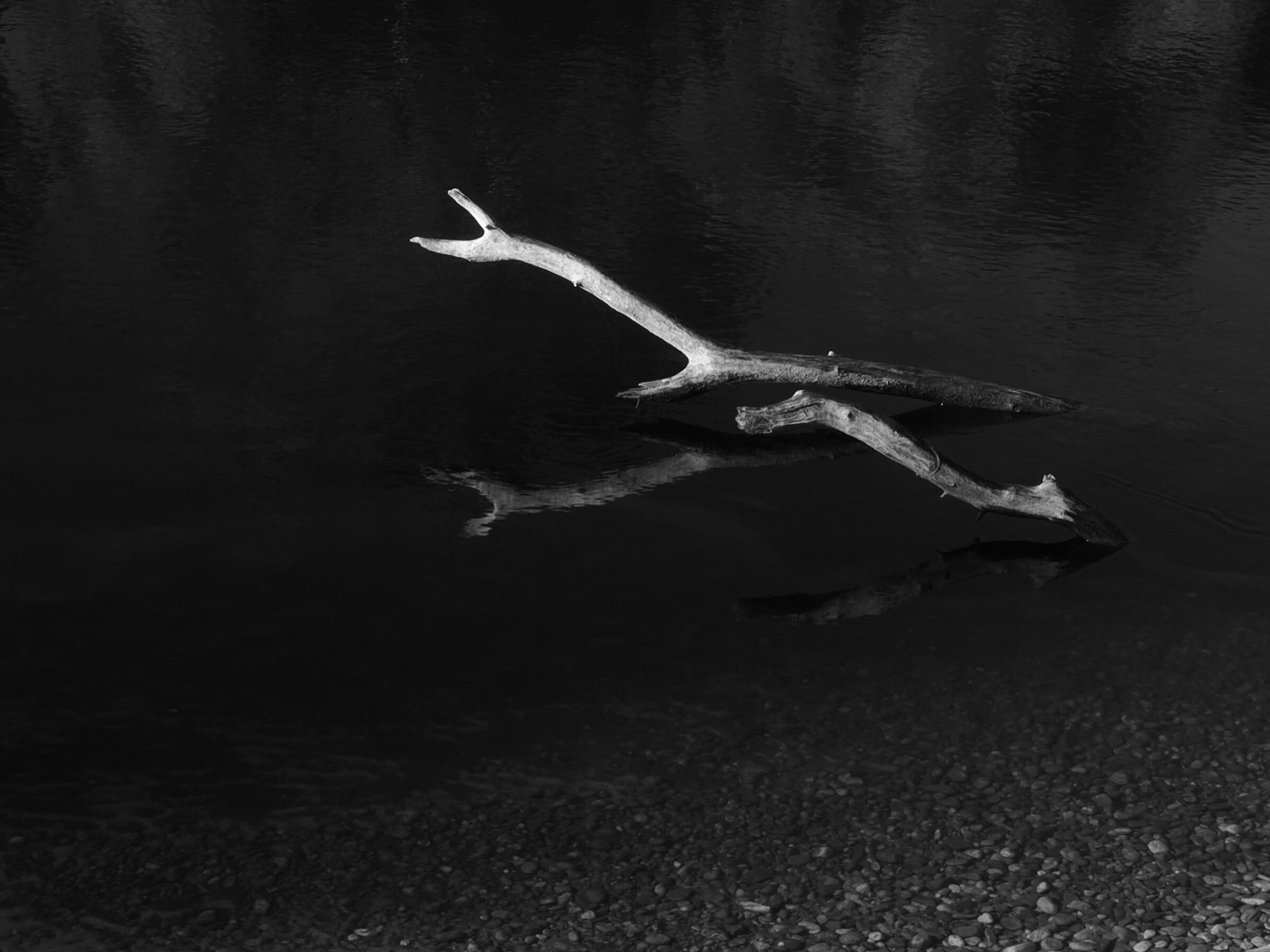 quel ramo del Ticino