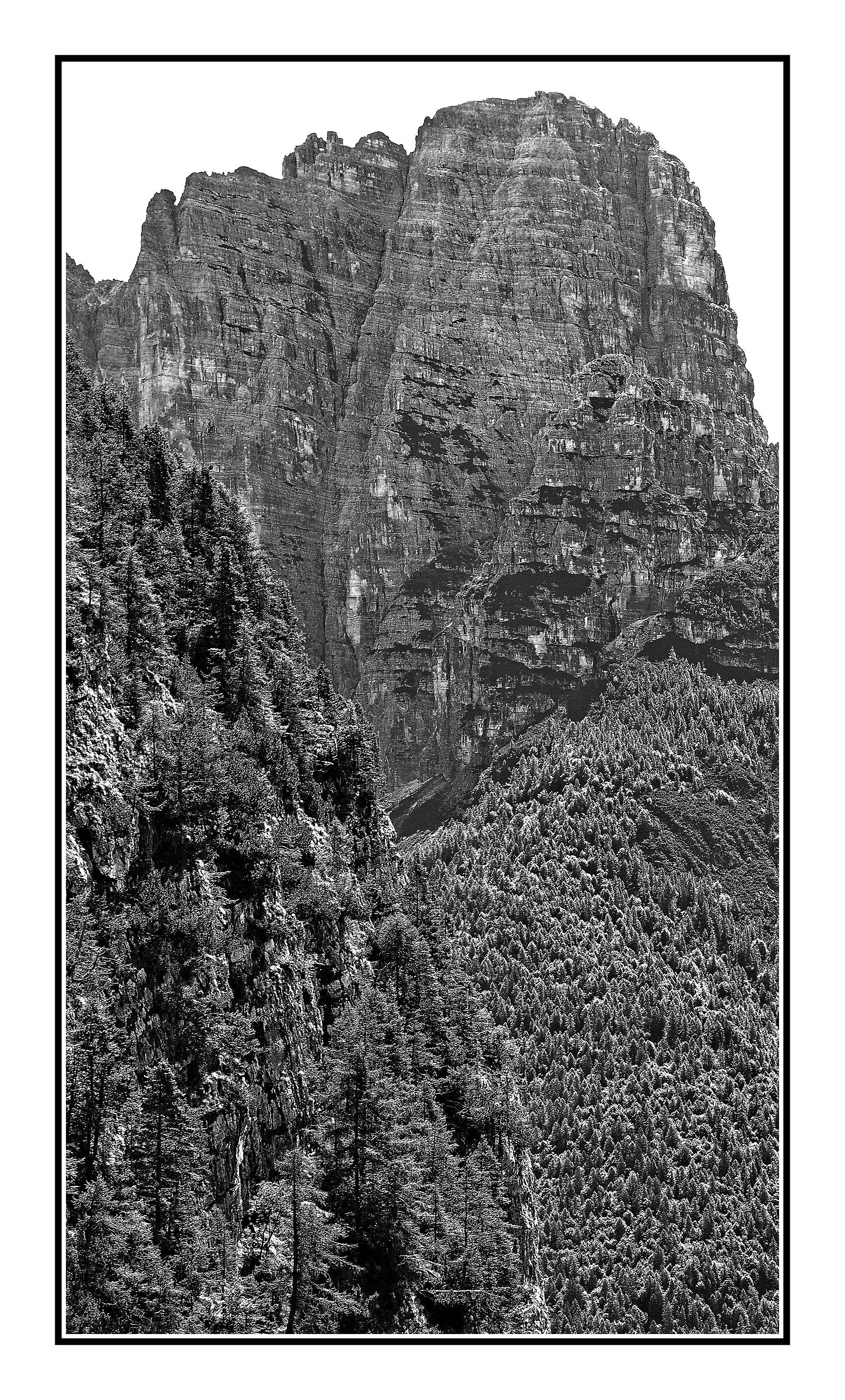 Vertical environments