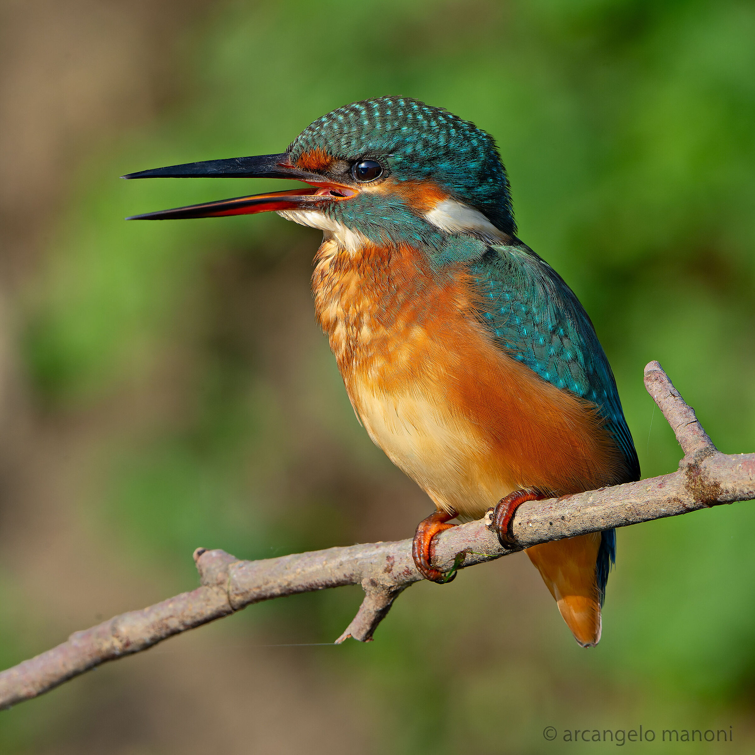 Il sorriso della martina