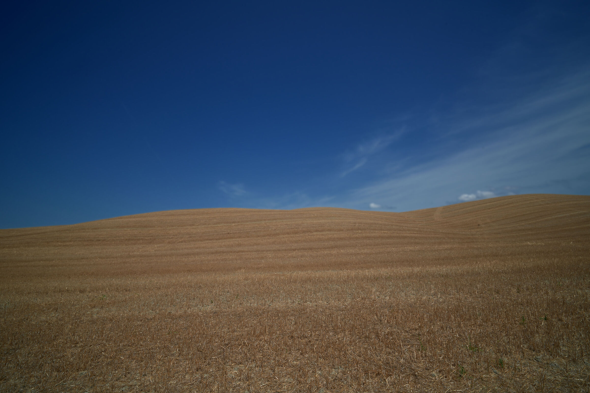 minimal