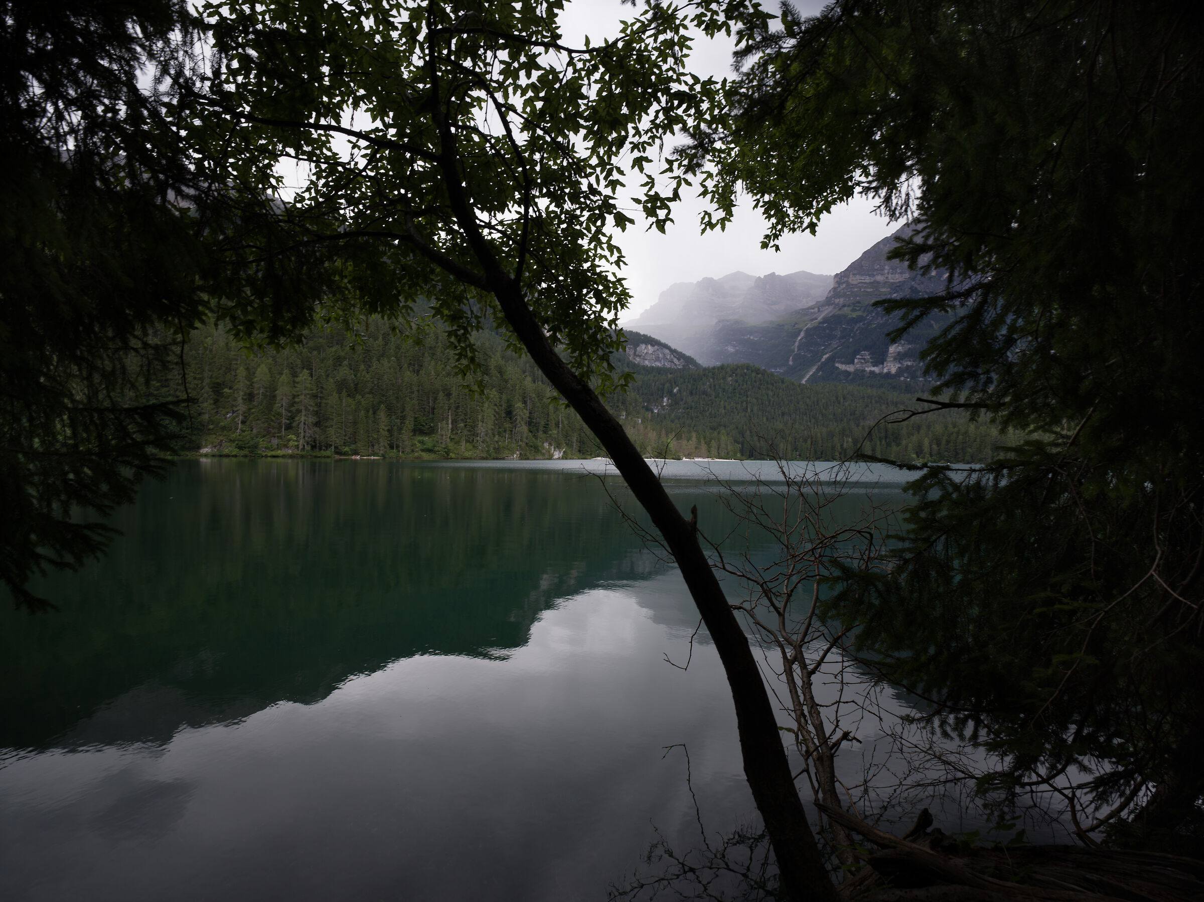 Untitled Photo