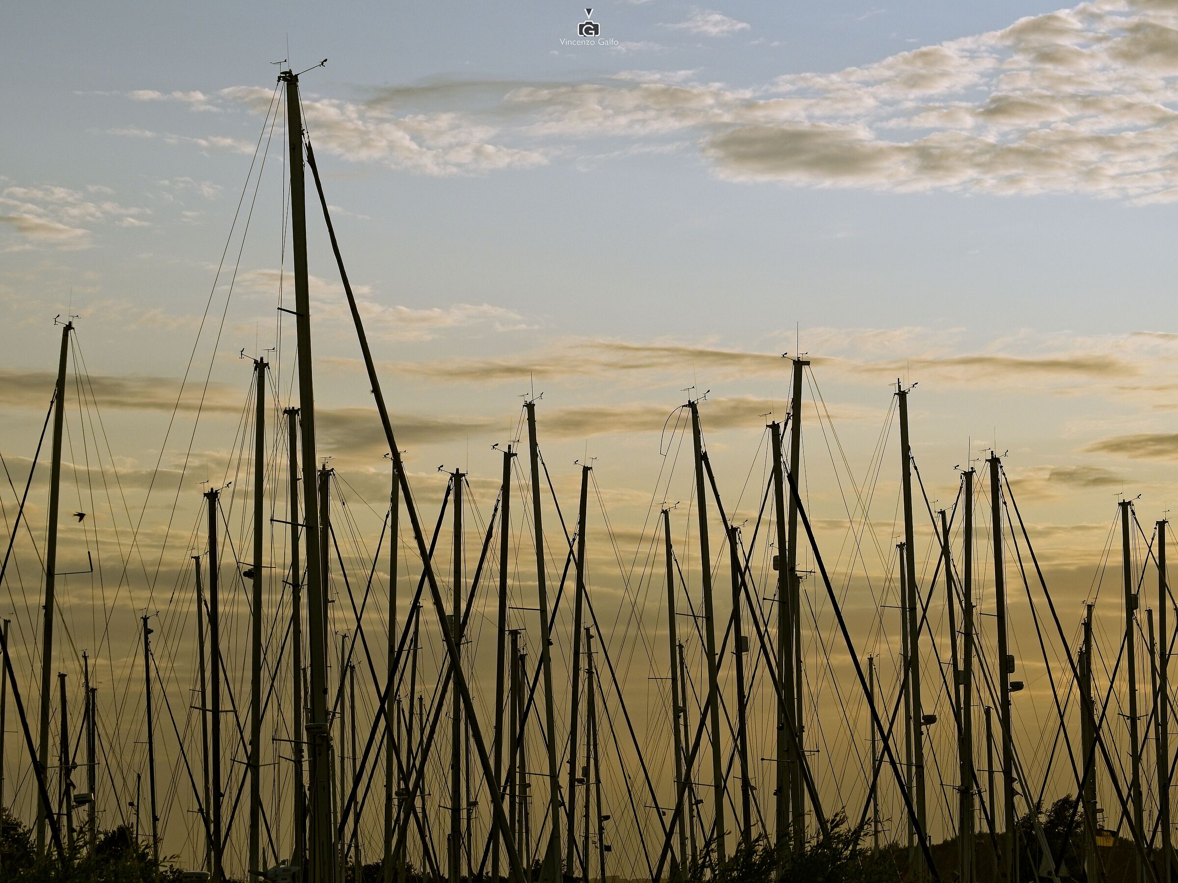 Masts